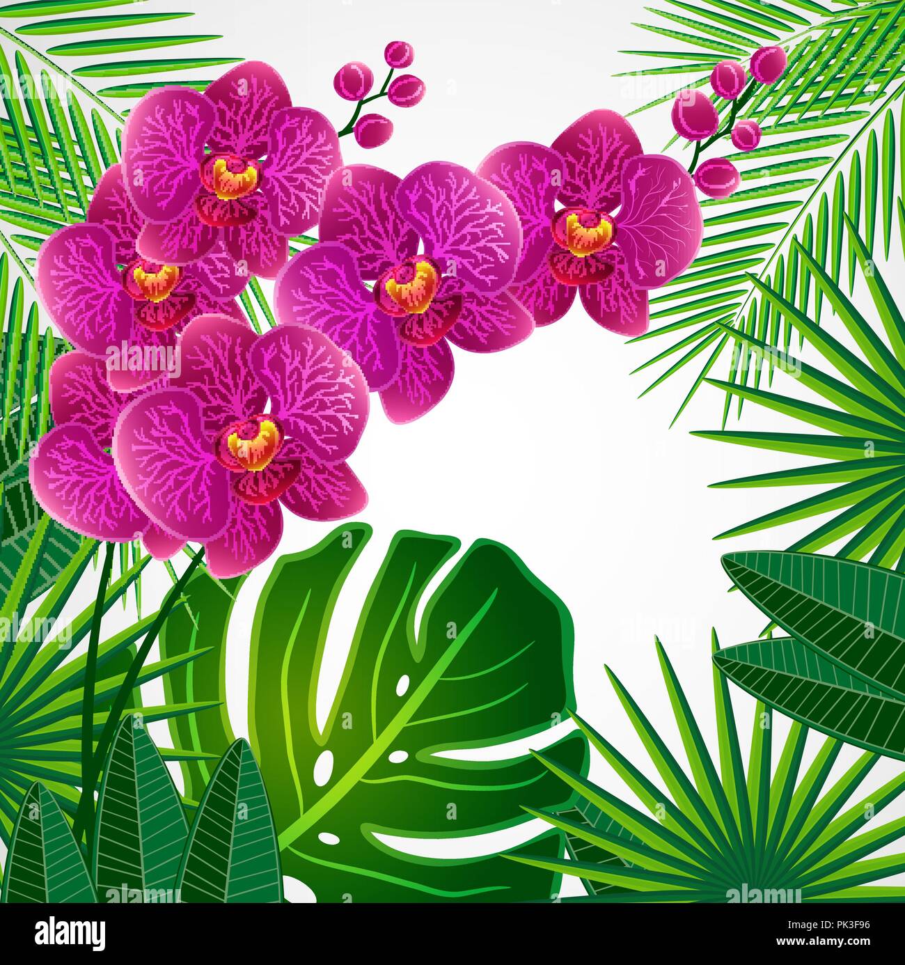 Floral background di design. Fiori di orchidea. Illustrazione Vettoriale