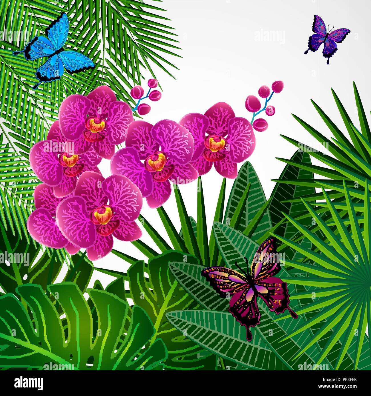 Floral background di design. Fiori di orchidea con farfalle. Illustrazione Vettoriale