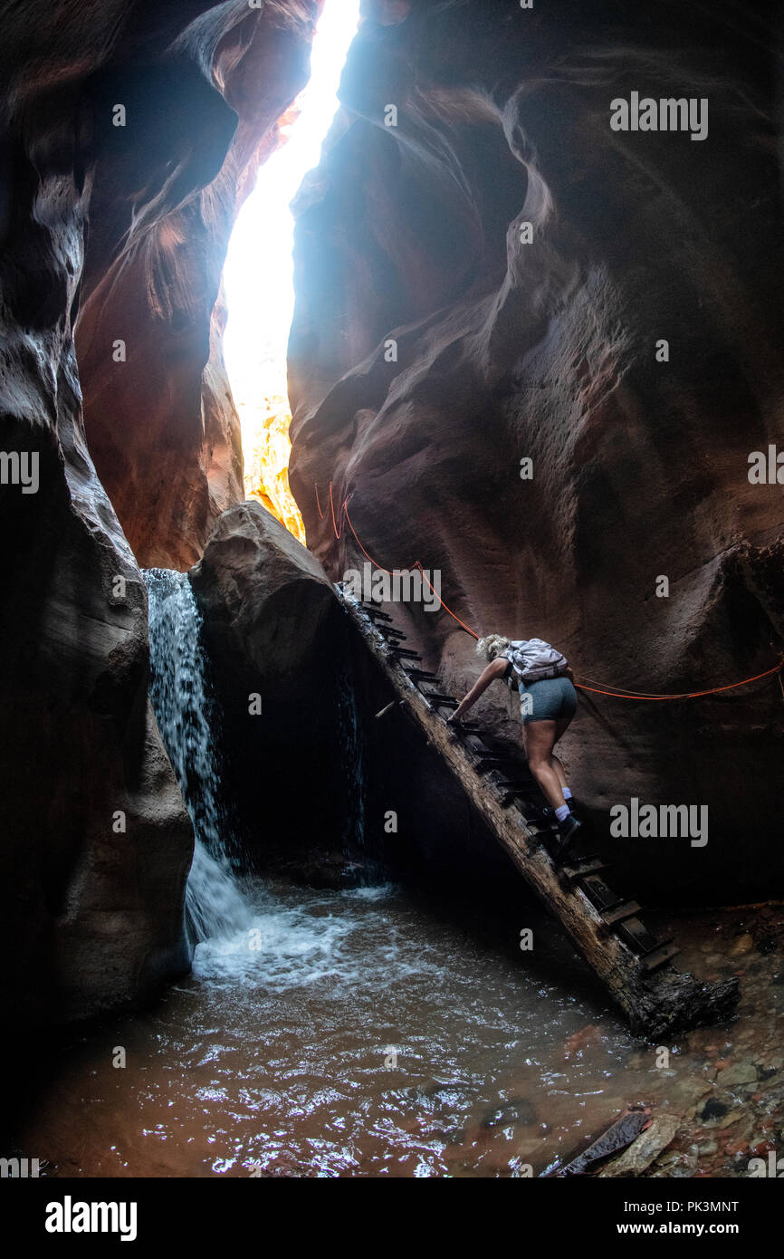 Una donna sale una scala di registro mentre escursionismo in Kanarra Creek Canyon, Kanarraville, Iron County, Utah, Stati Uniti d'America. Foto Stock