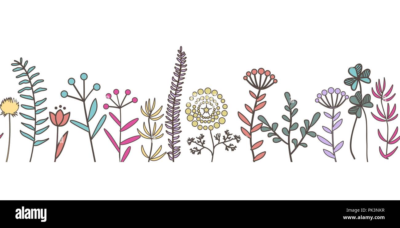 Vettore disegnati a mano dei fiori e delle piante modello senza giunture. Carino ed elegante botanico set floreali. Doodle erbe confine. Illustrazione Vettoriale