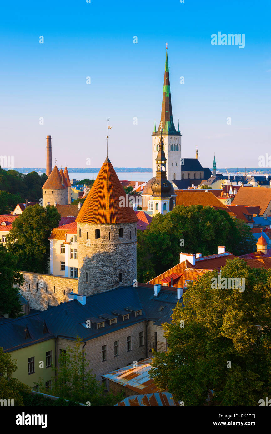 Skyline di Tallinn Estonia, vista panoramica al tramonto delle mura medievali della città bassa e delle torri con la chiesa di Sant'OLAF in lontananza, Tallinn, Estonia. Foto Stock