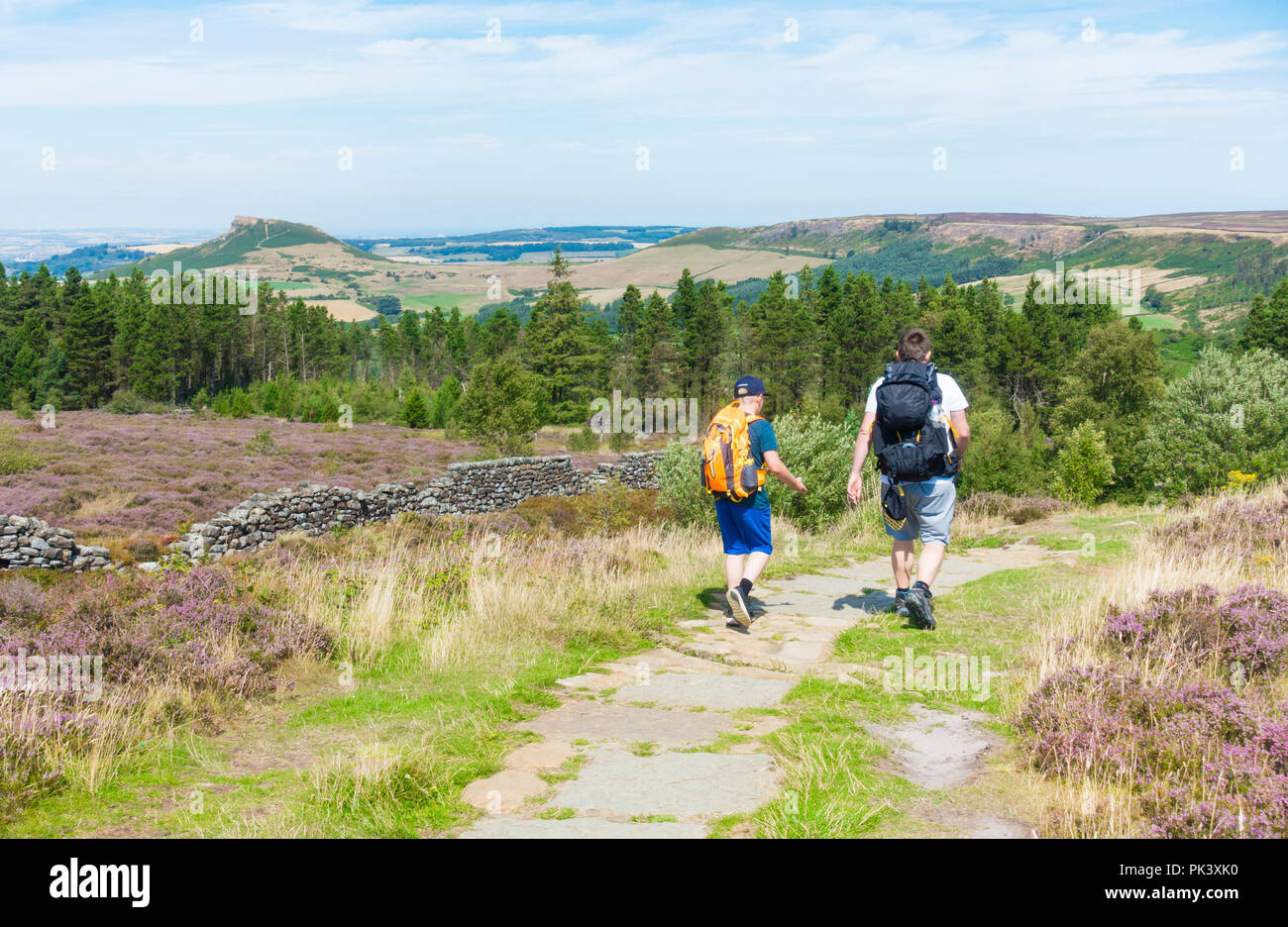 Hilers su Easby Moor con Roseberry Topping in distanza (sinistra). North York Moors National Park, North Yorkshire, Inghilterra, Regno Unito. Foto Stock