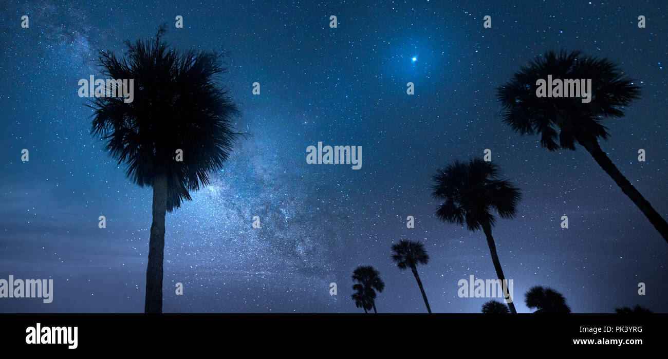 La Via Lattea a Big Cypress National Preserve in Florida. Foto Stock