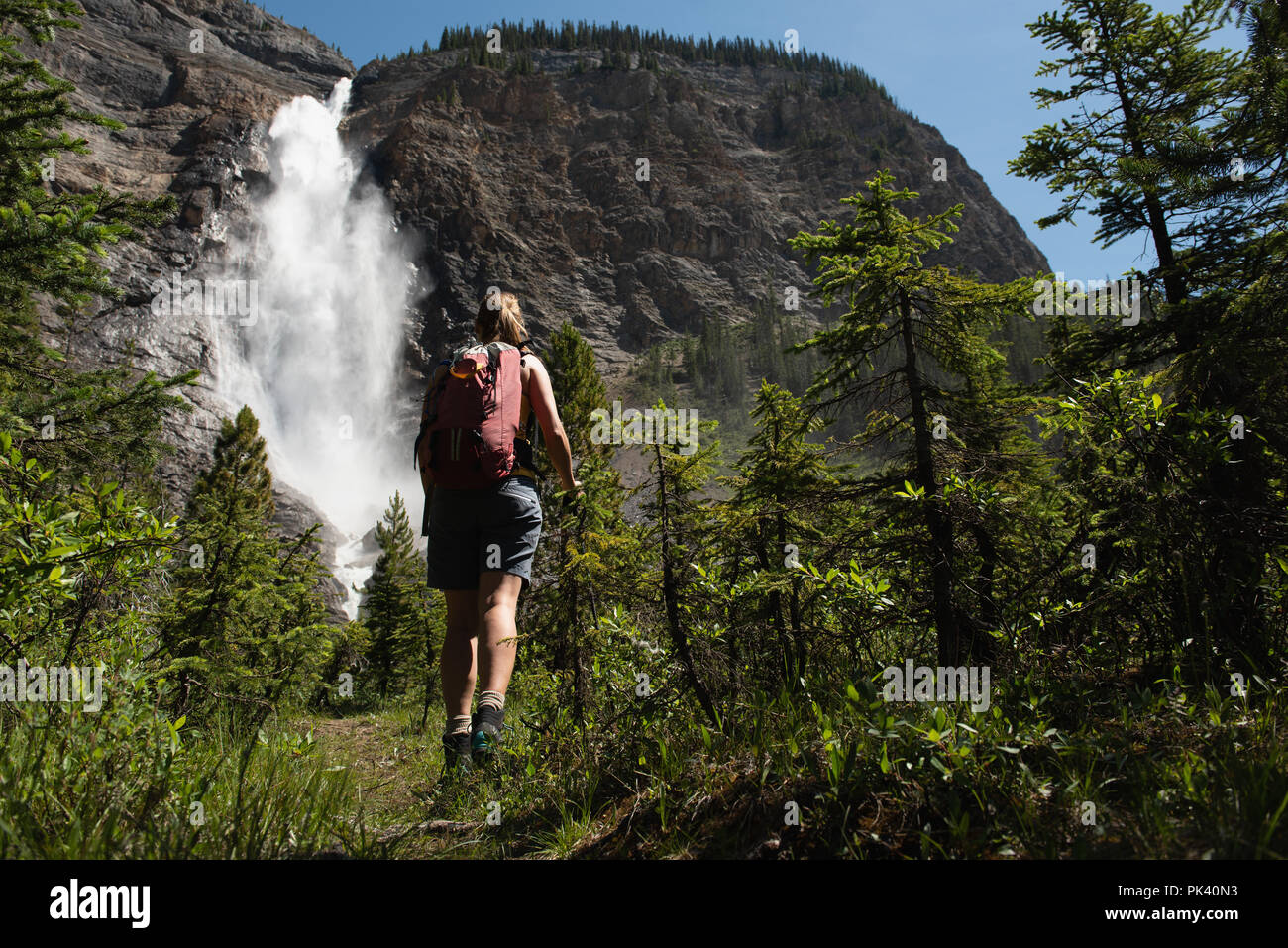 Donna che guarda la cascata in campagna Foto Stock