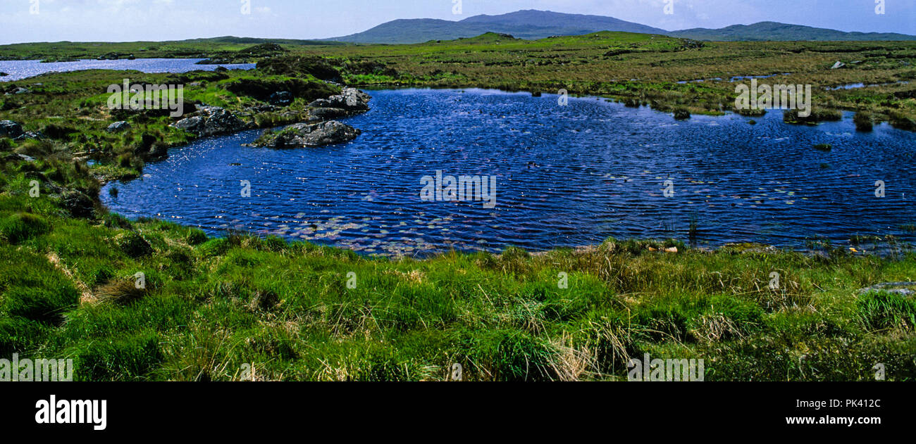 Roundstone Blanket Bog, Connemara, nella contea di Galway, Irlanda, Europa. Foto Stock