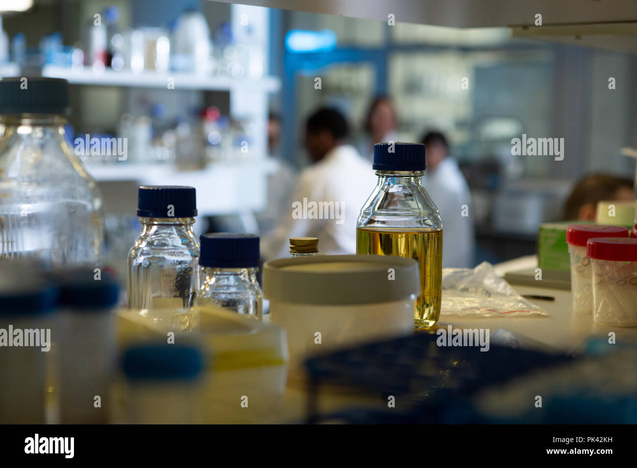 Soluzioni chimiche in bottiglia in laboratorio Foto Stock