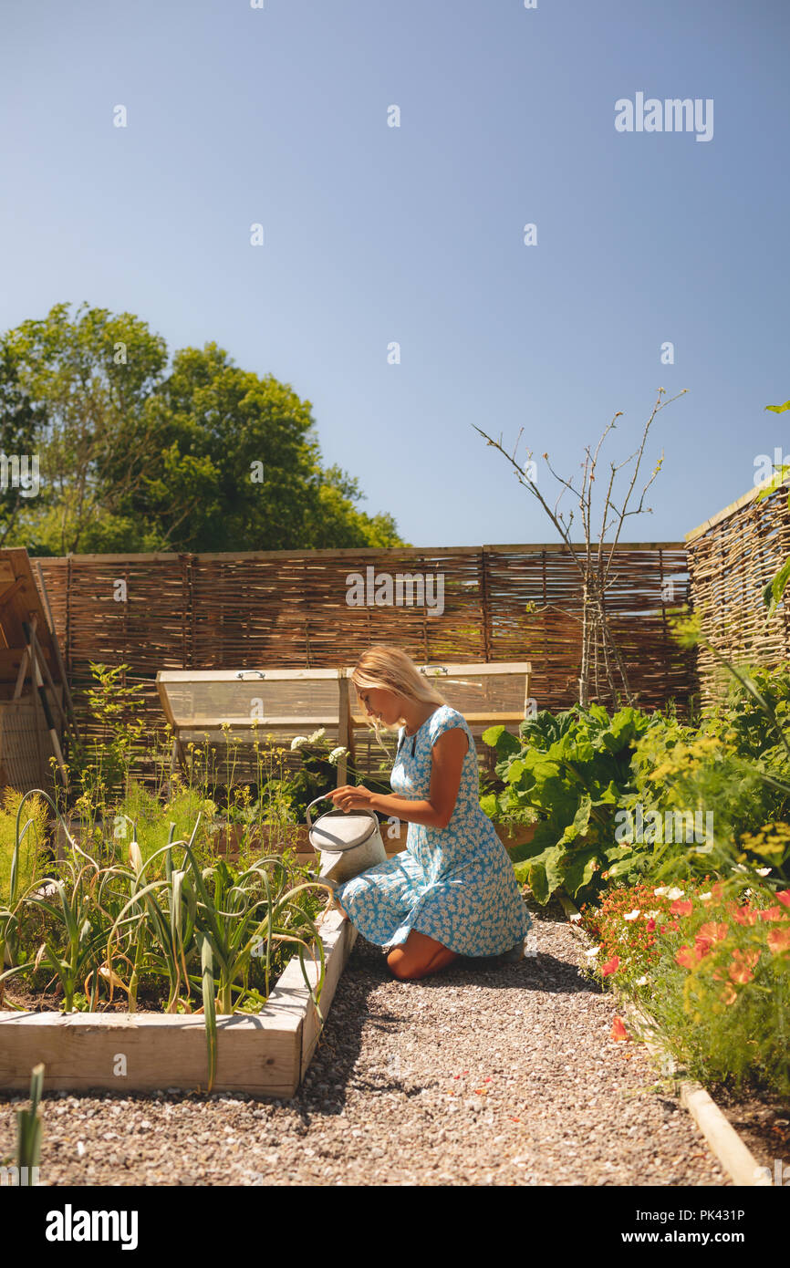 Donna di impianti di irrigazione in giardino Foto Stock