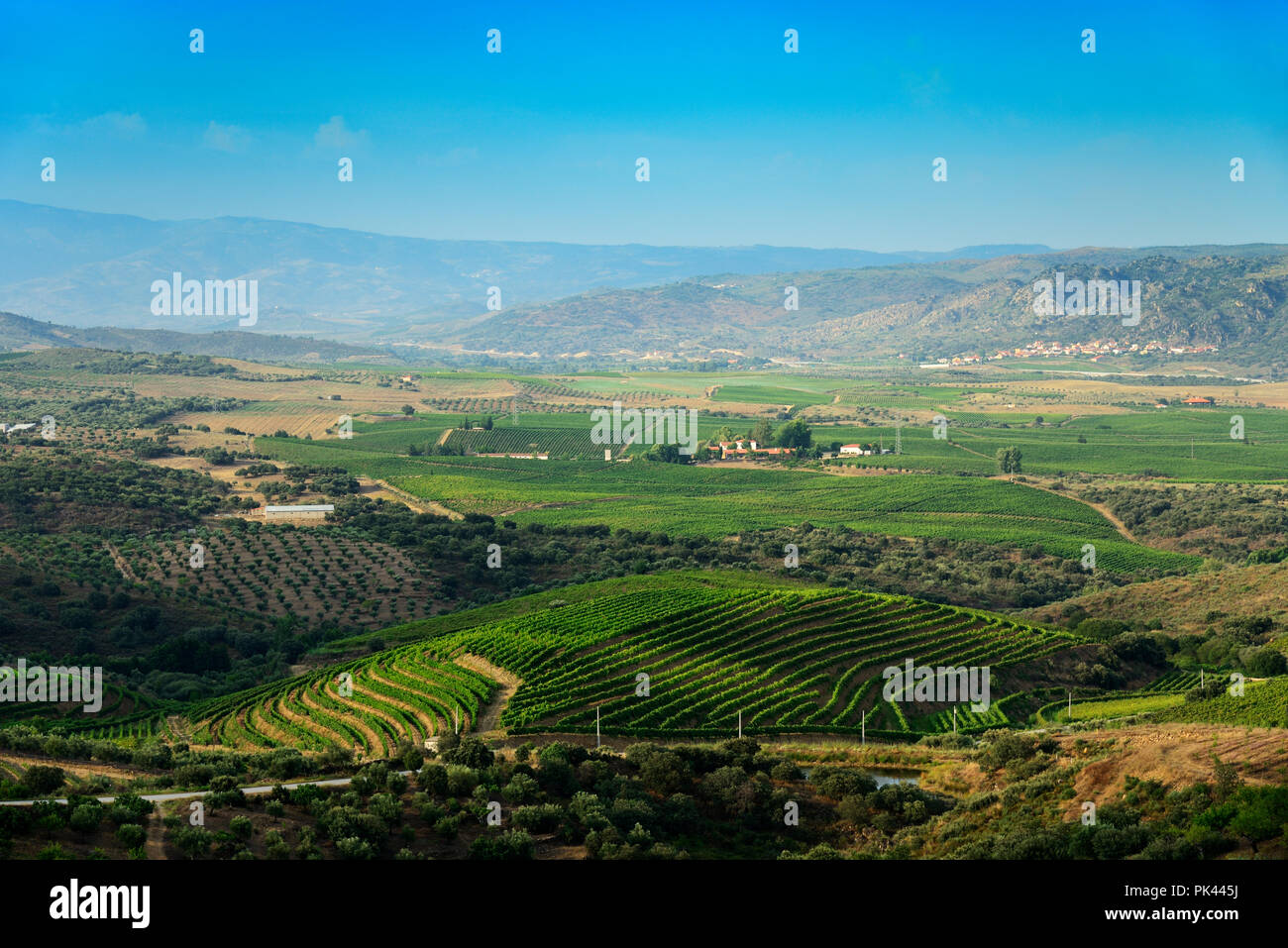 Vale da Vilariça lungo il fiume Sabor, in una delle più fertili regioni nel nord del Portogallo. Tras os Montes, Portogallo Foto Stock