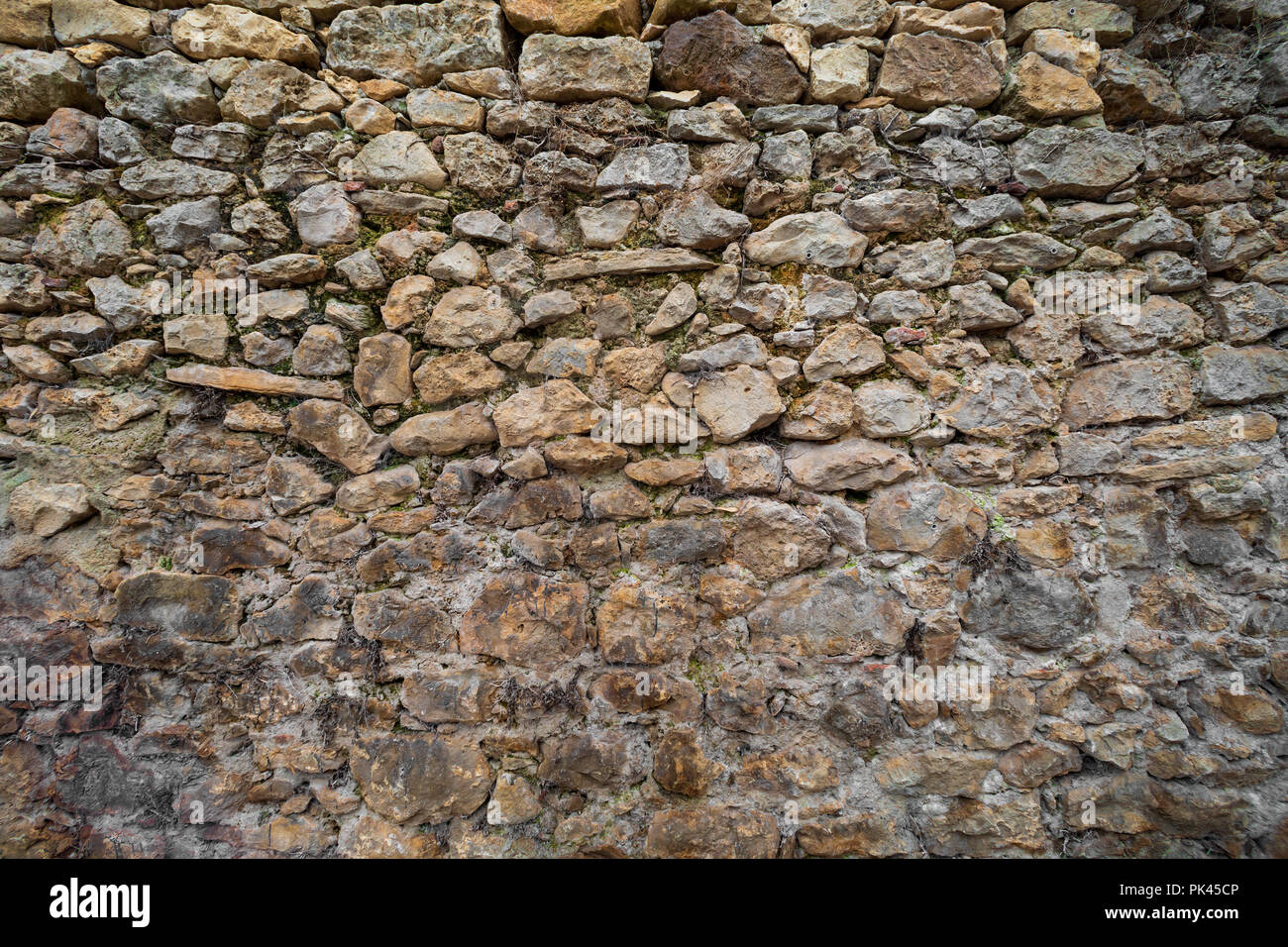 Bella e il vecchio muro di pietra con il muschio e vegetazione (Moss, felci, erba) rivolta verso nord Foto Stock