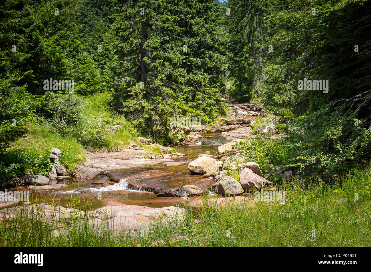 Belle, colorate mountain creek cascading attraverso la fitta foresta sul Monte Vecchio Foto Stock