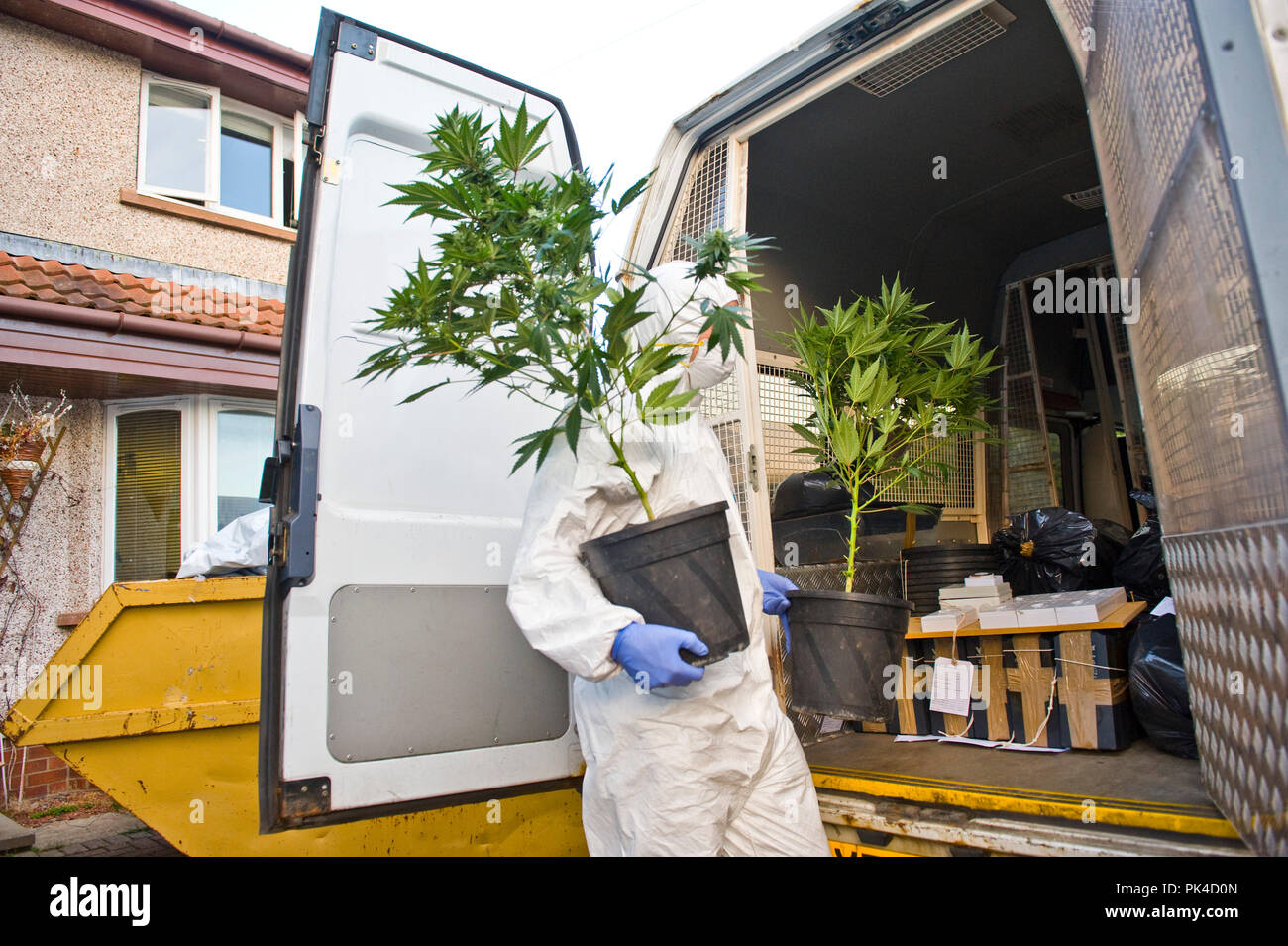 polizia raid una fattoria Cannabis alla periferia di Edimburgo, Whitehill vicino Dalkeith. La polizia rimuove le piante di Cannabis ed altro Foto Stock