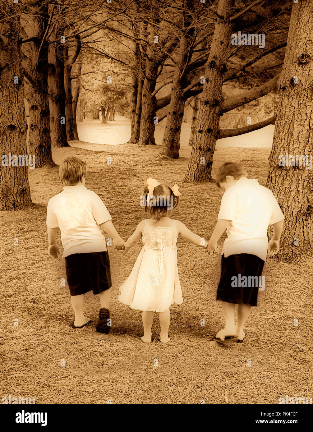 Fratelli e sorelle camminando per un sentiero mano nella mano tra i pini.  Immagine virati al nero di seppia i colori per un effetto vintage Foto  stock - Alamy