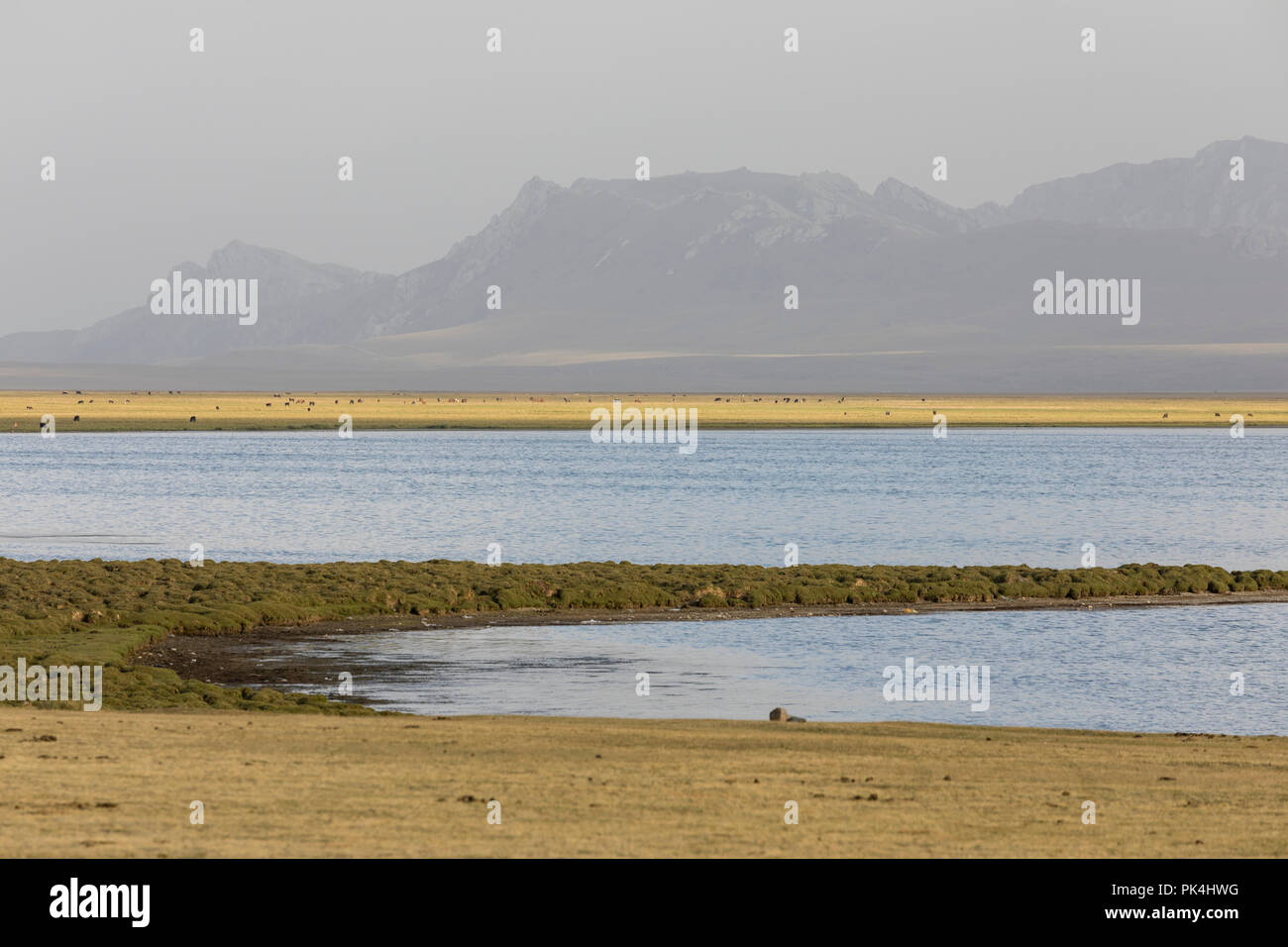 Song Kul lago in Kirghizistan nella magia della luce della sera Foto Stock