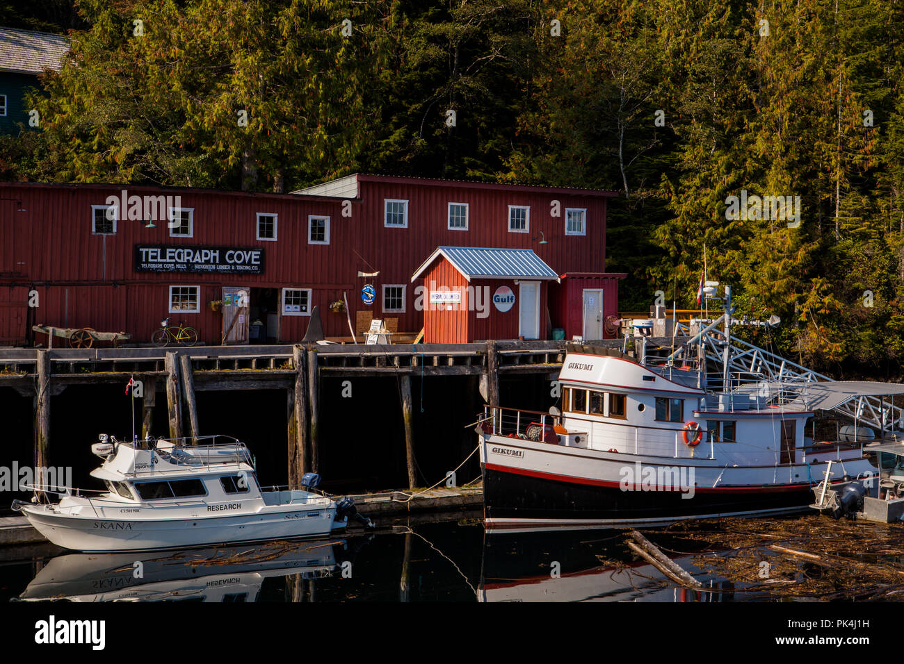 Rundgang durch das idyllische Telegraph Cove Foto Stock