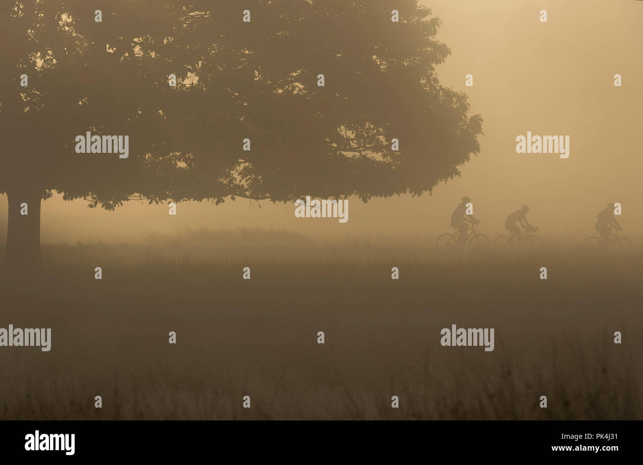 Paesaggio autunnale alba con 3 ciclisti in distanza a Richmond Park Regno Unito Foto Stock