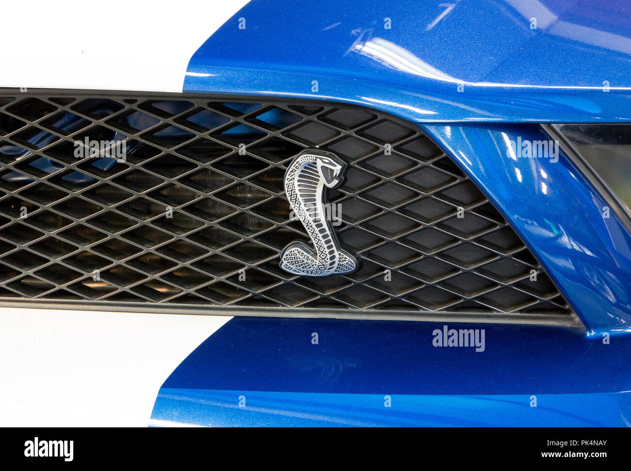 CONCORD, NC (USA) - Aprile 8, 2017: UN 2008 Ford Mustang Shelby Cobra GT-500 all'Pennzoil AutoFair classic car show a Charlotte Motor Speedway. Foto Stock