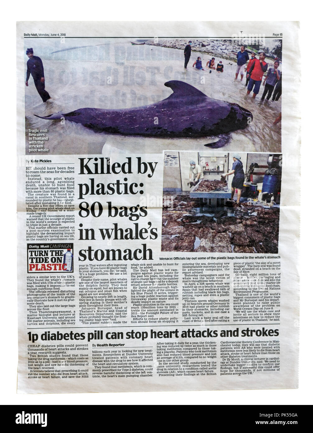 Un articolo dal Daily Mail con la headline uccisi da plastica: 80 sacchetti in Whale lo stomaco circa il livello di inquinamento in plastica negli oceani Foto Stock