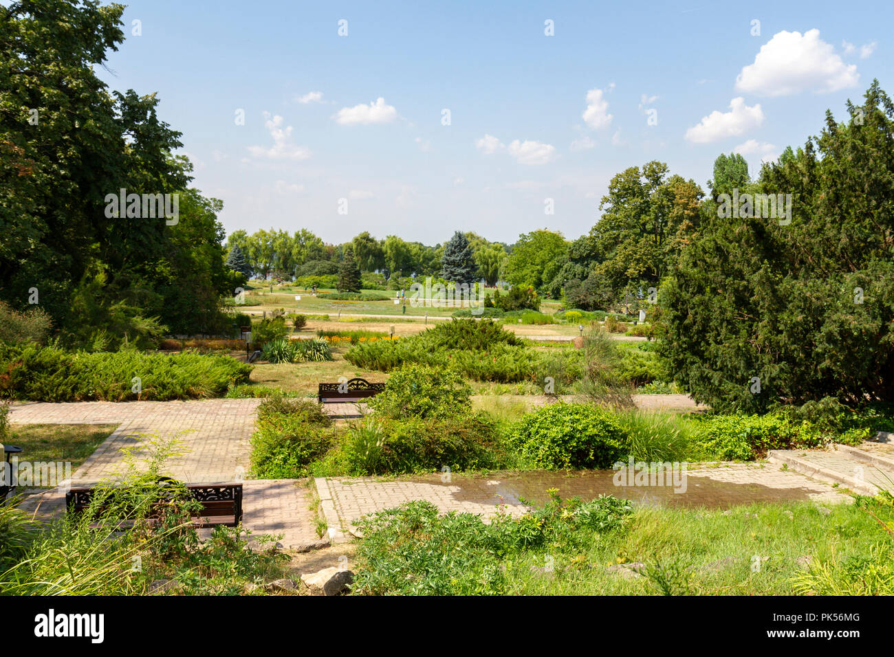 Vista generale di persone nel Parco Herastrau (Parcul Herăstrău), Bucarest, Romania. Foto Stock