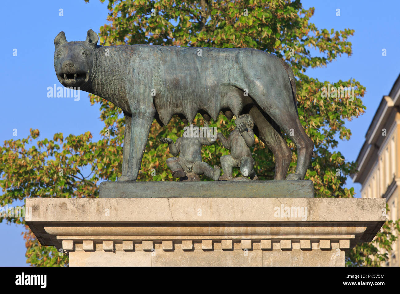 Statua del "Lupo capitolino' allattamento i gemelli Romolo e Remo dalla leggenda della fondazione di Roma a Cluj Napoca, Romania Foto Stock