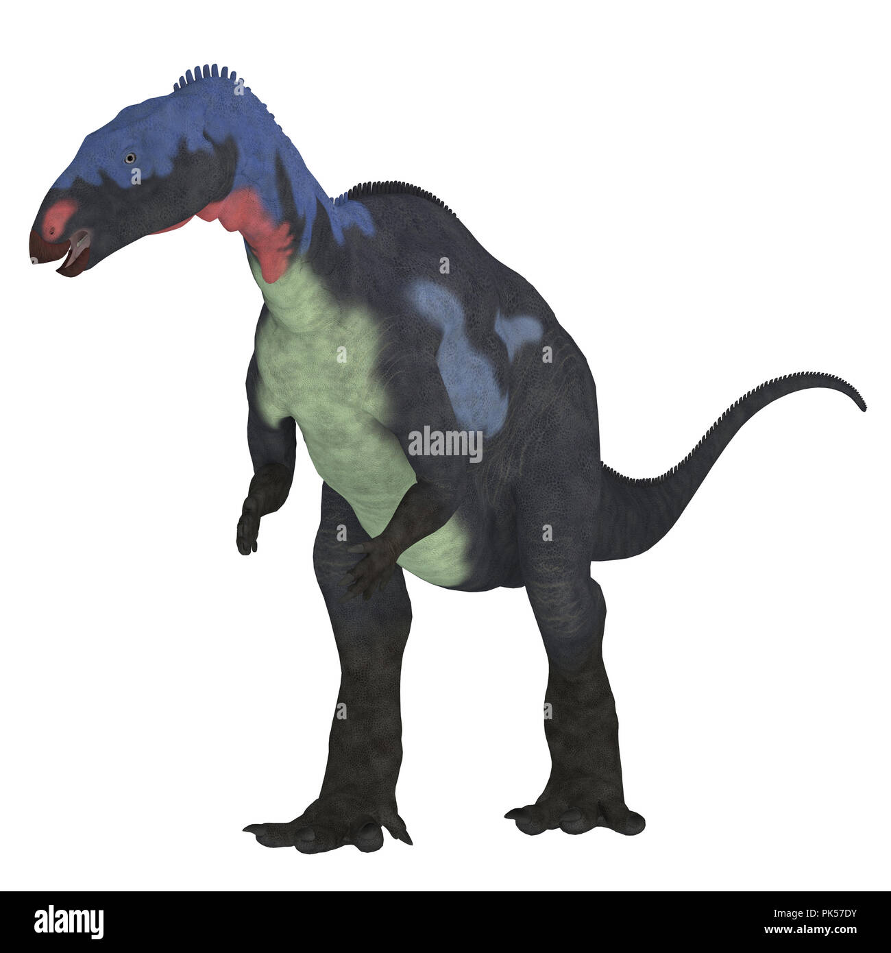 Dinosauro Camptosaurus su bianco - Camptosaurus era un erbivoro ornithischian dinosaur che ha vissuto in Nord America durante il Giurassico. Foto Stock