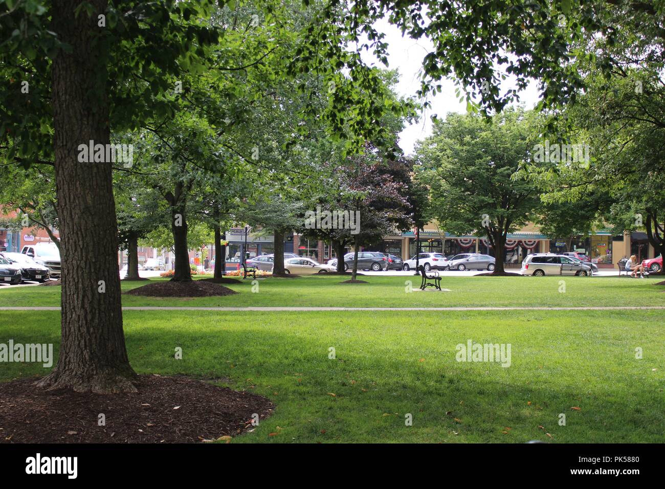 Vista della piccola città negozi su una striscia da un piccolo parco con il traffico su strada Foto Stock