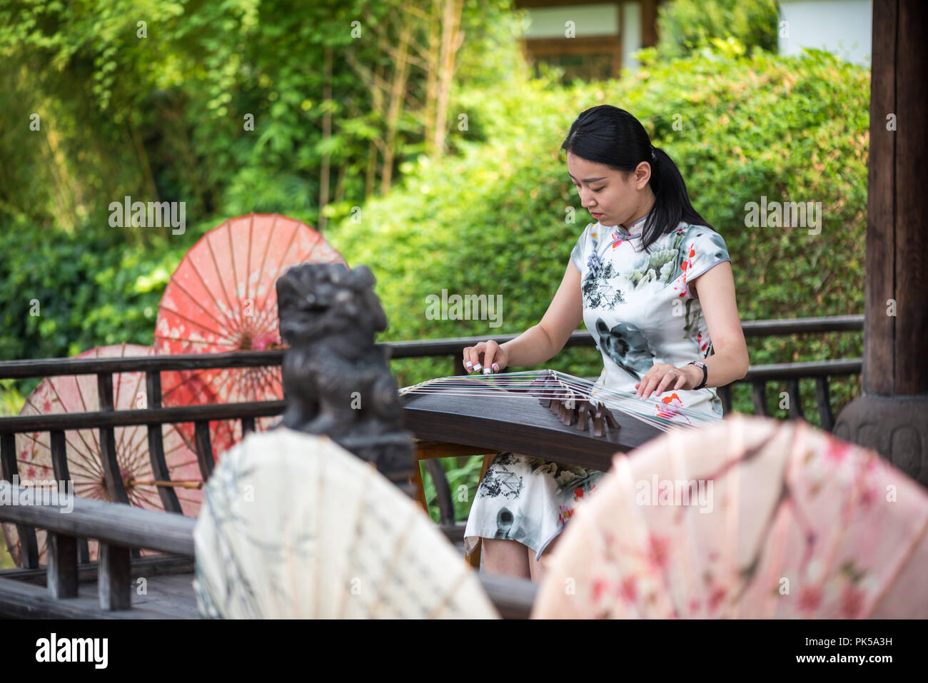 Anren, nella provincia di Sichuan, in Cina - Agosto 26, 2018 : Donna Guzheng riproduzione di musica tradizionale cinese strumento a corda Foto Stock