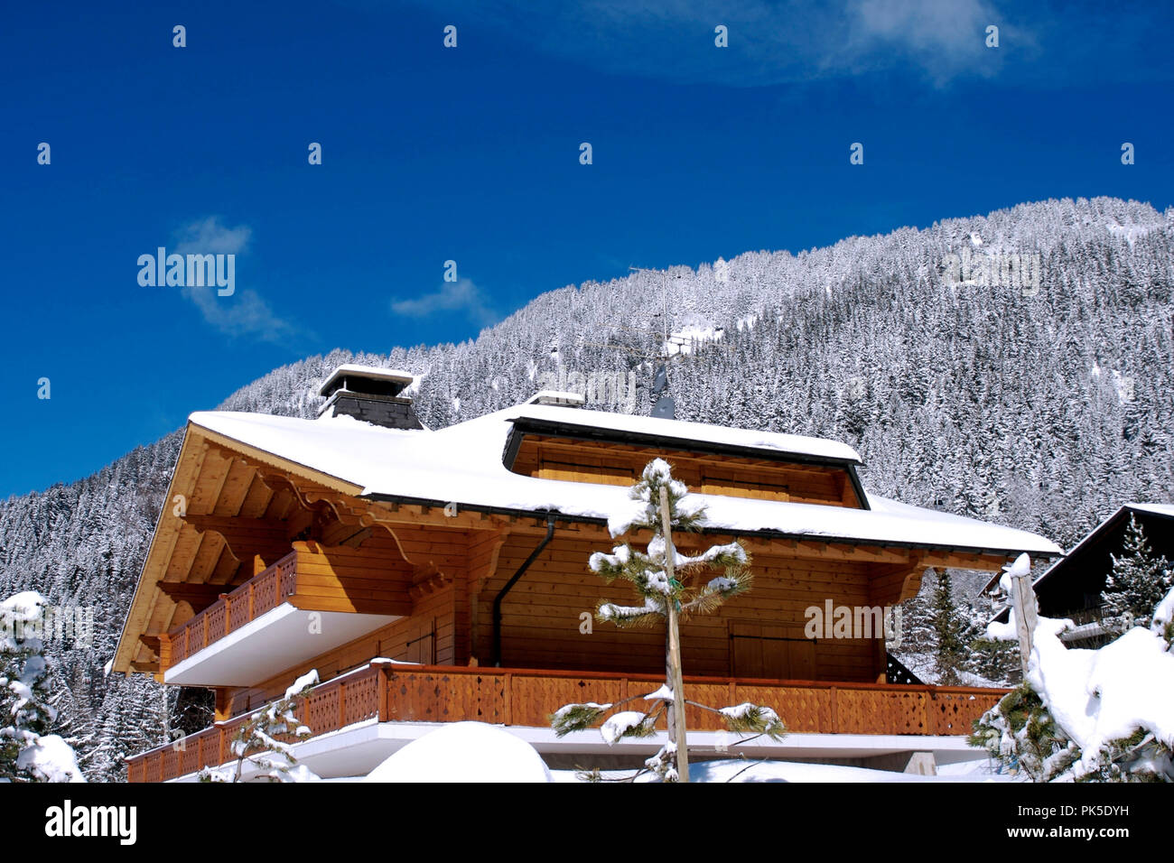 Cottage di legno nelle Alpi Svizzere Foto Stock