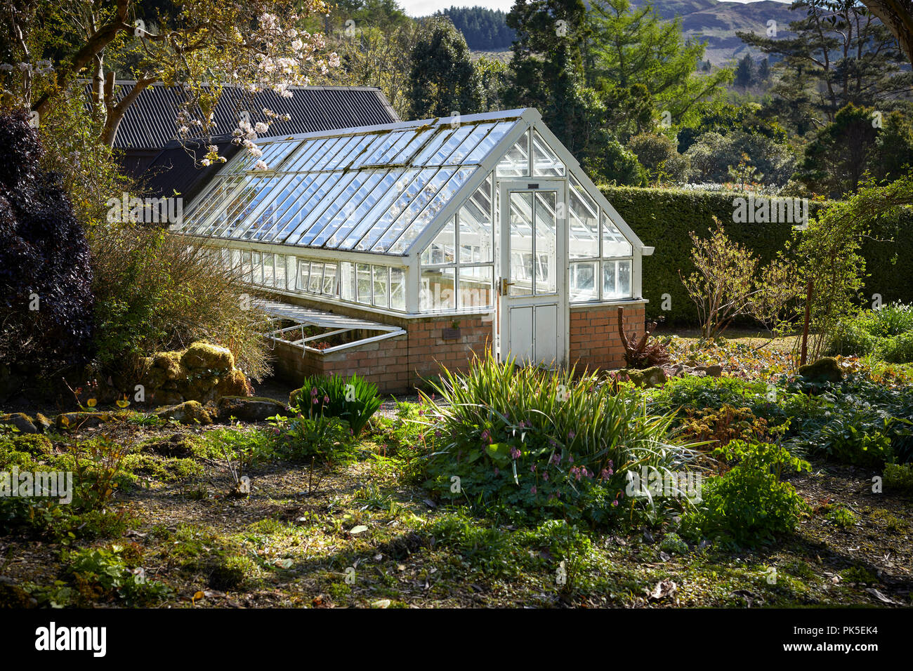 La mattina presto sun rileva le Arduaine Giardini Serra di lavoro prima del giorno prende il via. Vista della zona di lavoro del Arduaine giardini. Argyll Foto Stock