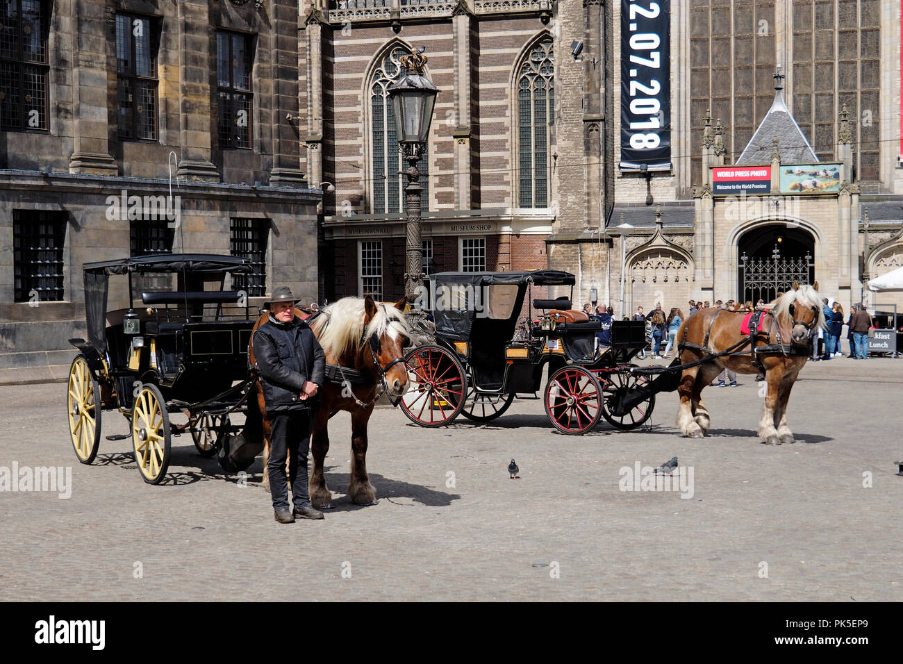 Carrozze trainate da cavalli di attendere per il commercio in Piazza Dam nel centro di Amsterdam, Paesi Bassi. Foto Stock