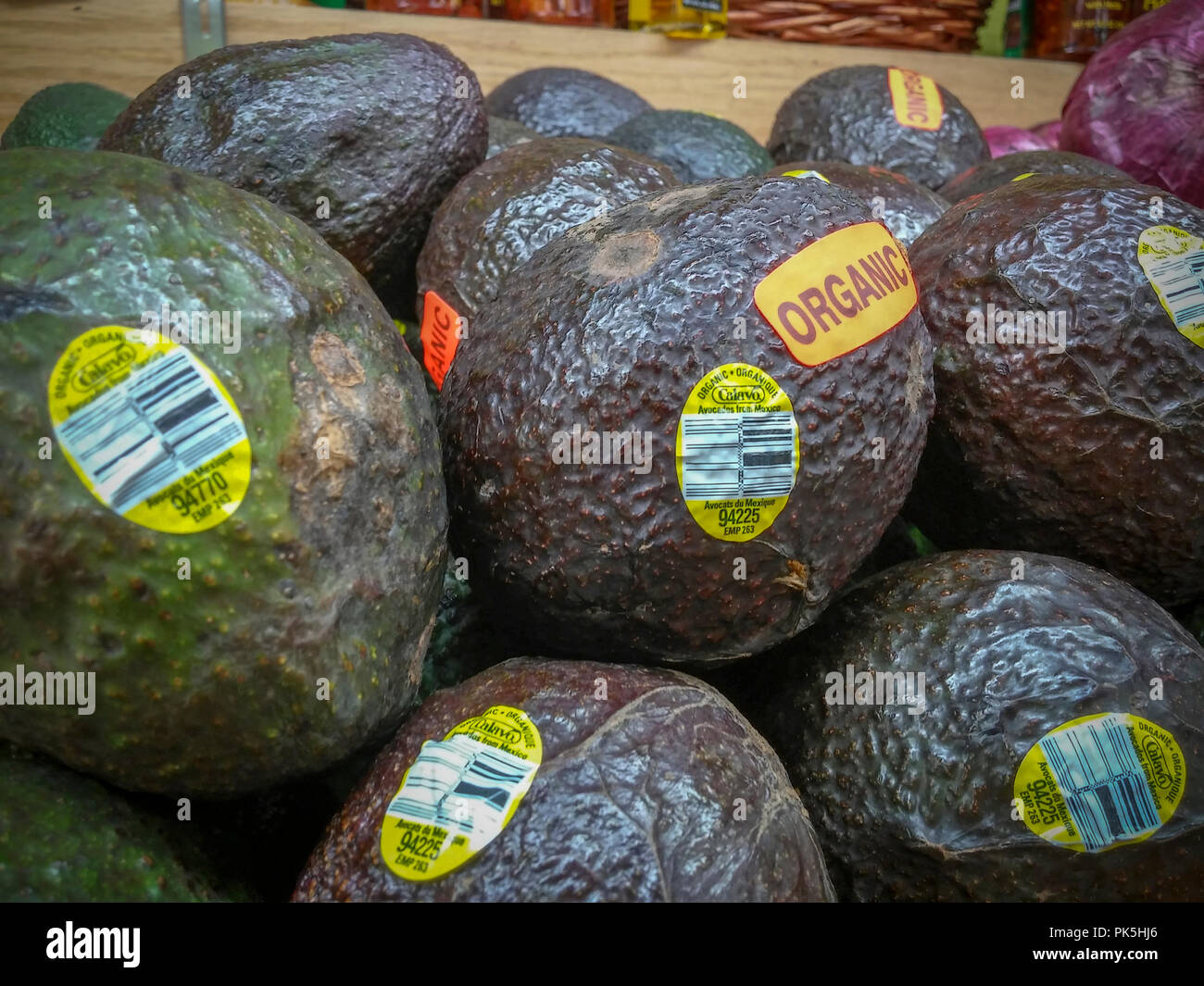Coltivatori Calavo marca avocado messicano in un supermercato a New York martedì 4 settembre 2018 in anticipo del loro secondo trimestre guadagni. (© Richard B. Levine) Foto Stock