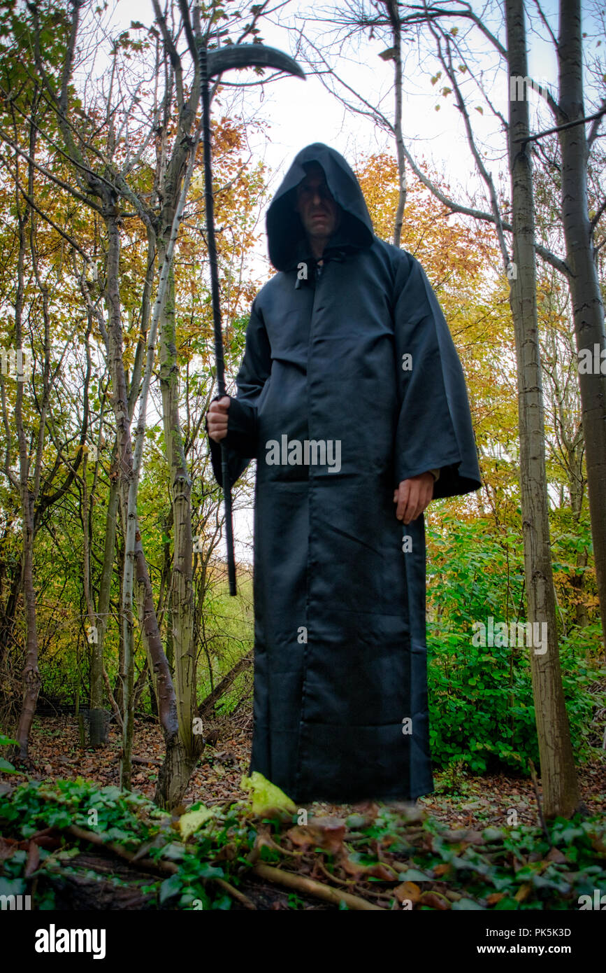 Il Grimm Reaper librarsi sopra un albero caduto Foto Stock