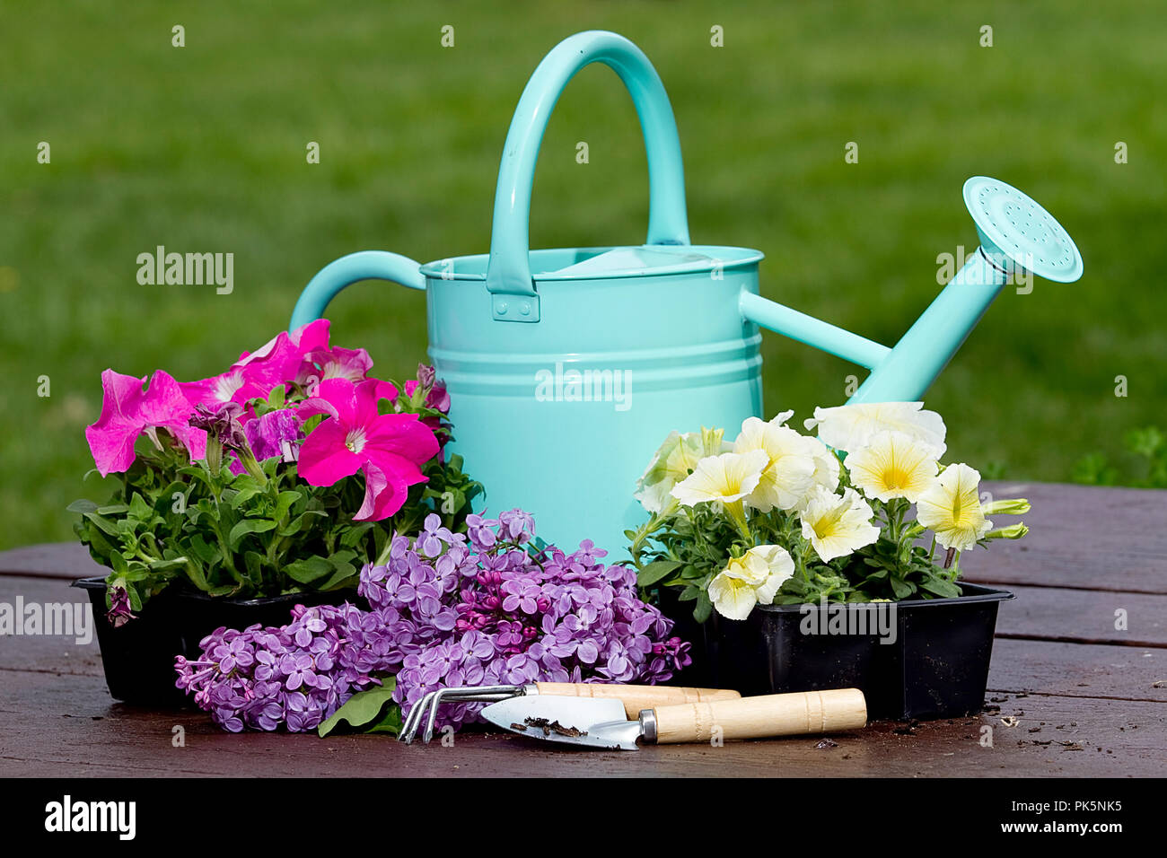 Le immagini dei preparati di erbe vegetali seduto sul tavolo da picnic con acqua può in alcune immagini. Foto Stock