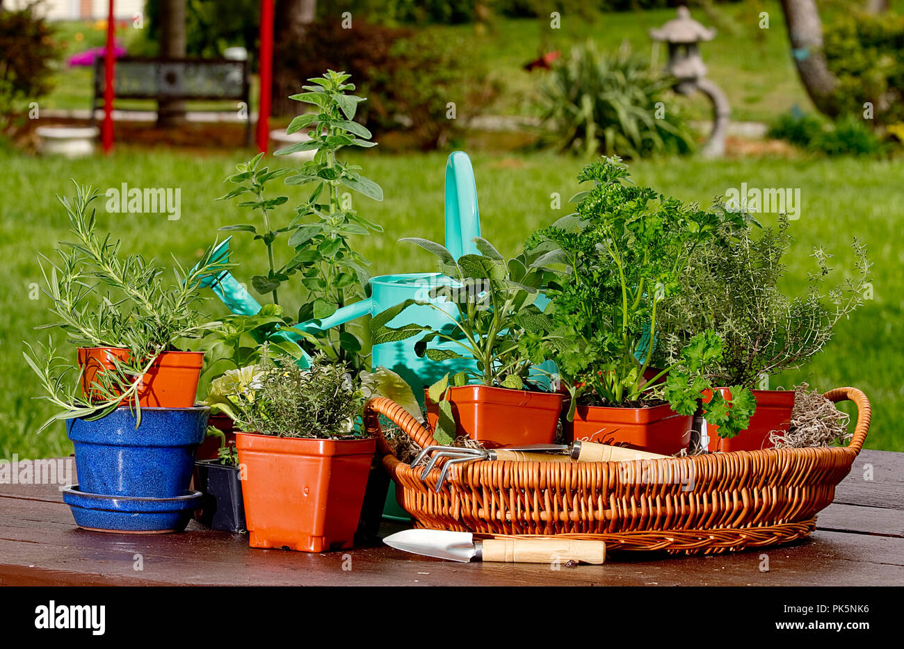 Le immagini dei preparati di erbe vegetali seduto sul tavolo da picnic con acqua può in alcune immagini. Foto Stock