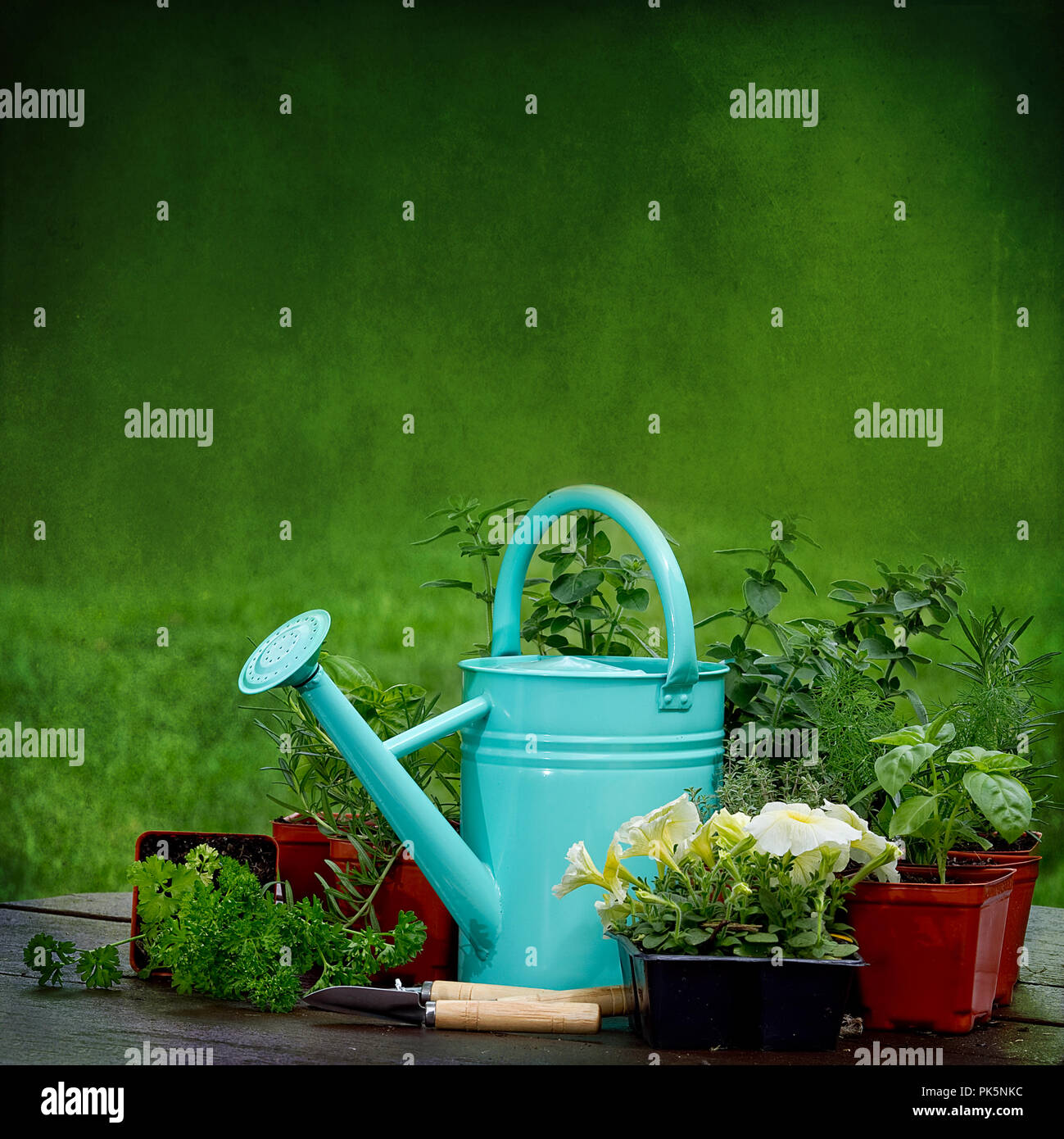 Le immagini dei preparati di erbe vegetali seduto sul tavolo da picnic con acqua può in alcune immagini. Foto Stock