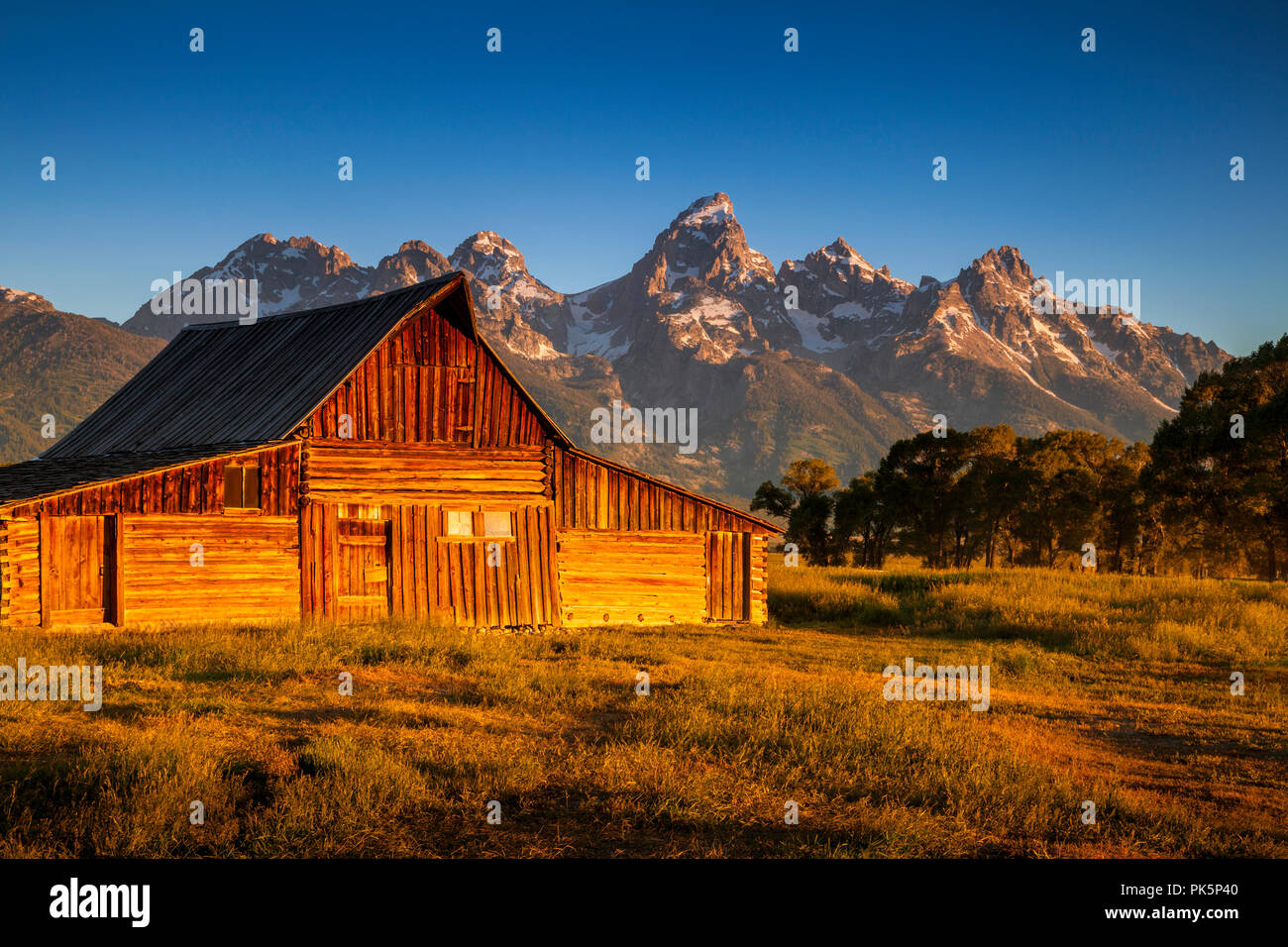 Riga mormone in Grand Teton National Park Foto Stock