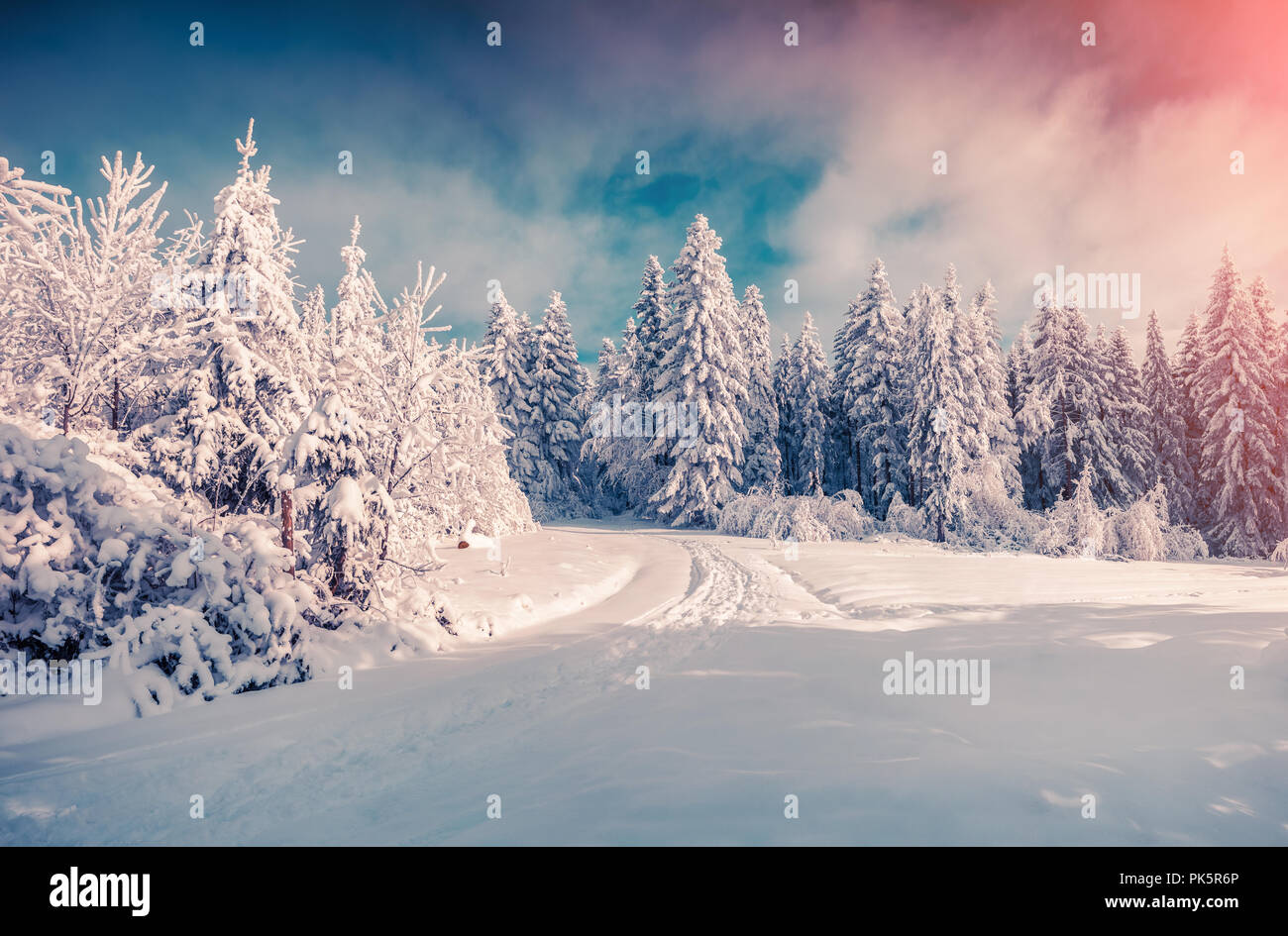 Colorato alba invernale in montagna innevata. Neve fresca a frosty mattina incandescente prima luce del sole. Foto Stock