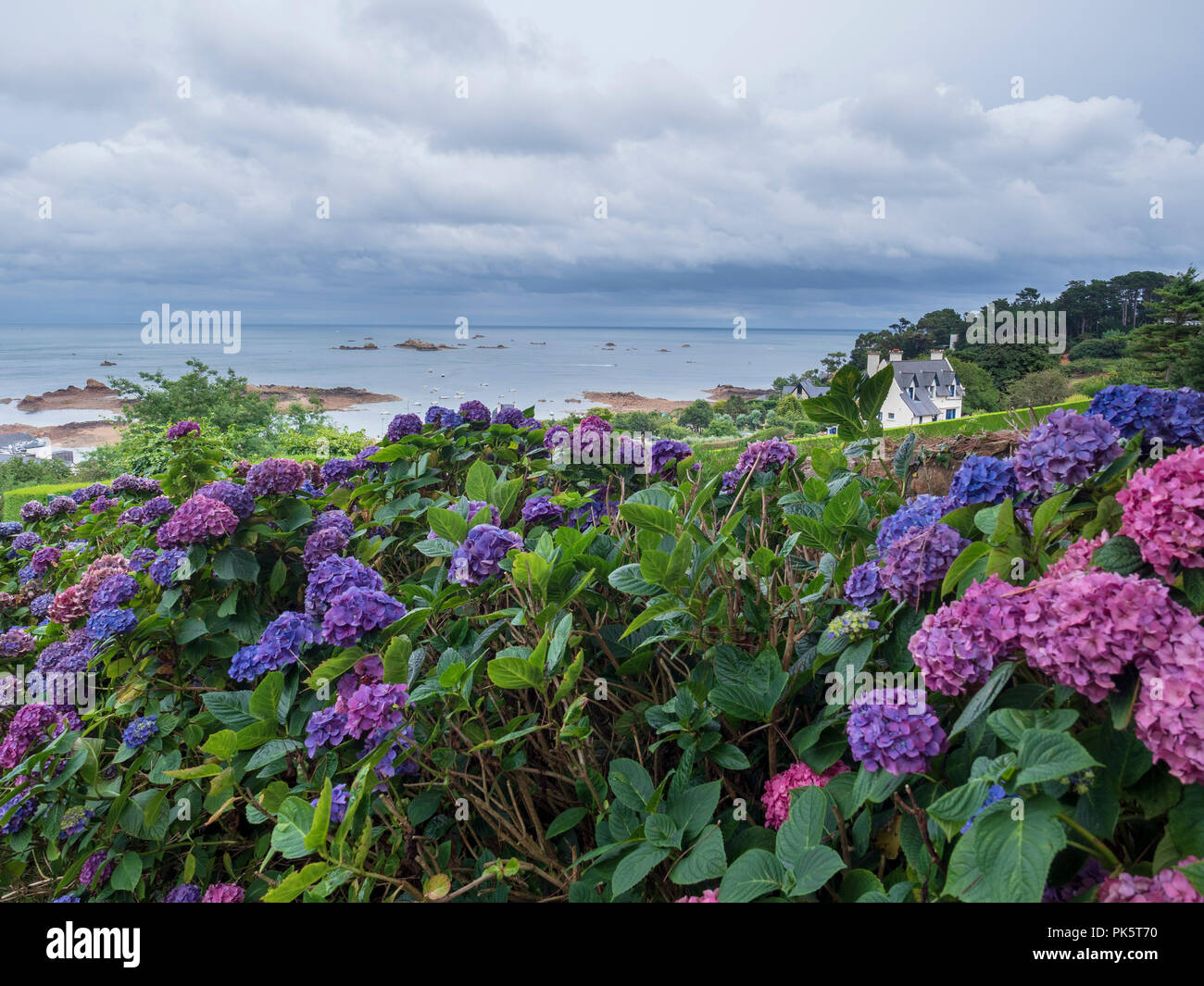 Promontorio di Arcouest, Brittany, Francia. Foto Stock
