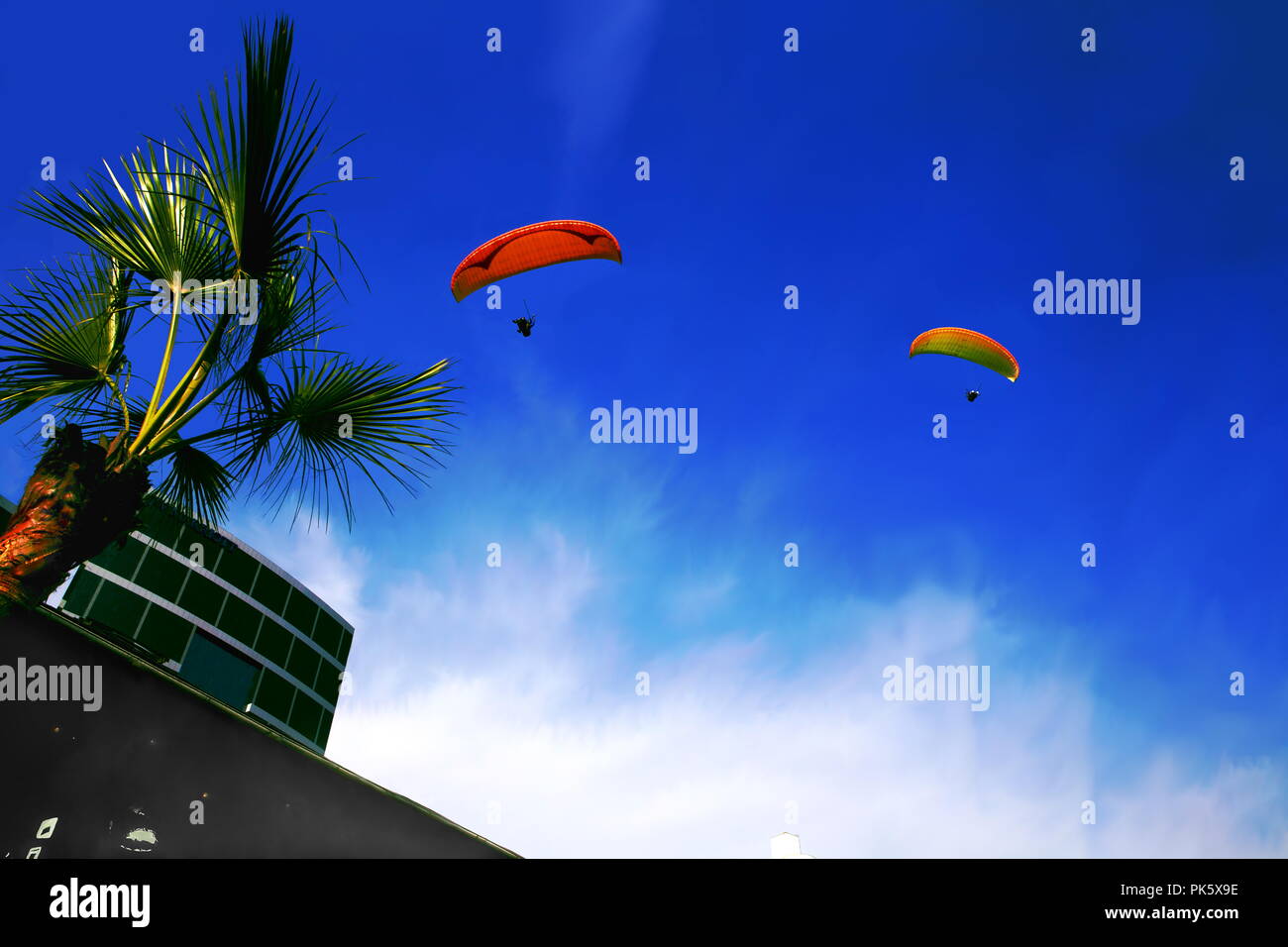 Due parapendii volando attraverso il cielo blu della città di Lima, Perù, tra una massa di nuvole e un edificio con una palma da un lato.ad angolo basso Foto Stock