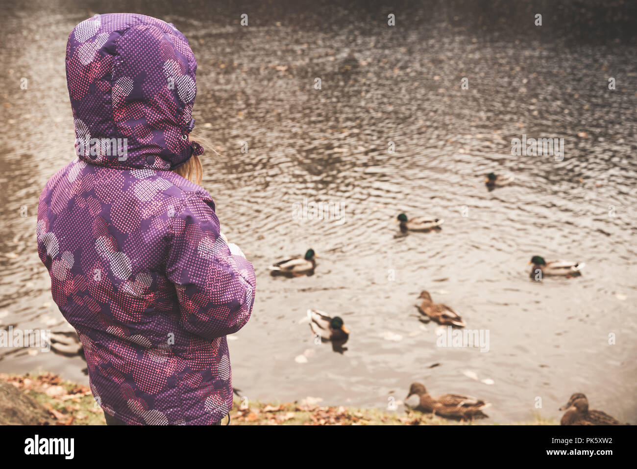 La ragazza di vestiti caldi alimenta le anatre su una costa di stagno in pubblico autunno park Foto Stock