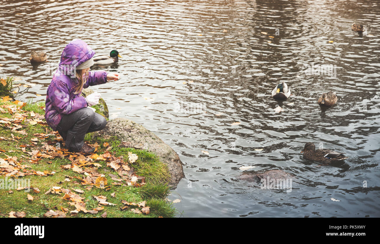 Udienza bambina alimenta le anatre su un piccolo lago di costa nel parco di autunno Foto Stock