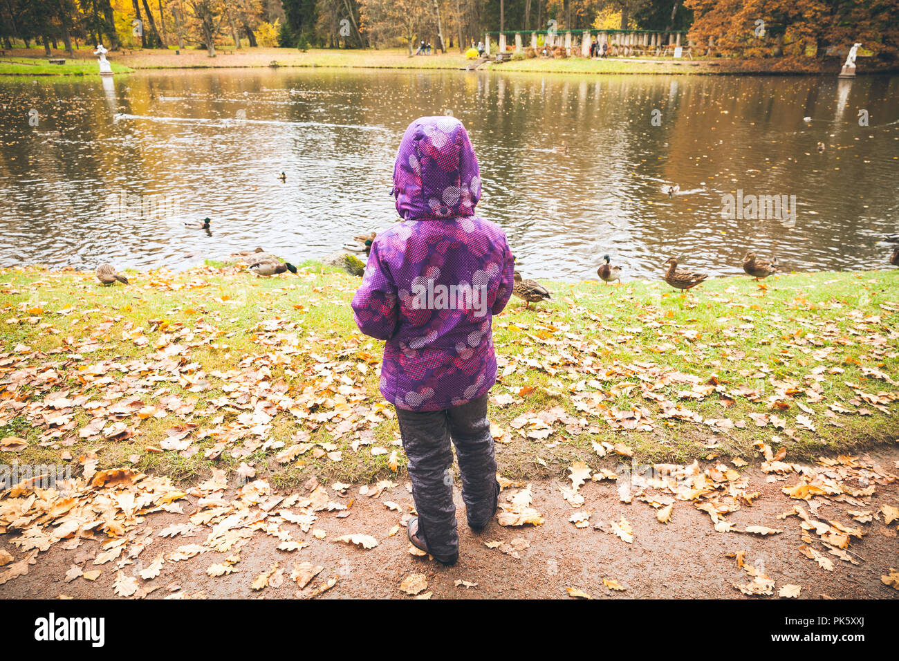 Bambina alimenta le anatre su un piccolo lago di Costa in autunno park, vista posteriore Foto Stock