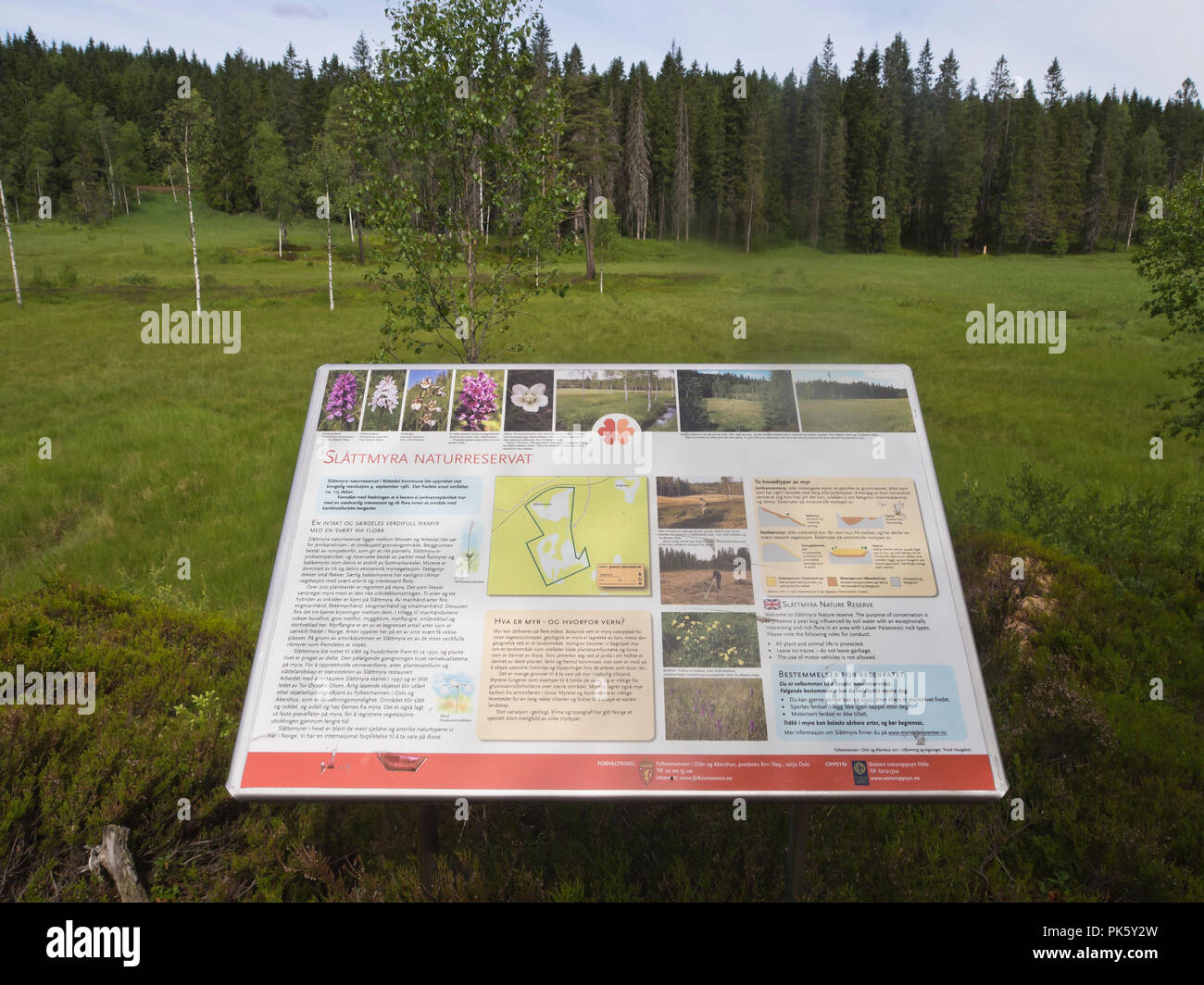 Slåttmyra naturreservat, una riserva naturale che la conservazione di erba vecchia le tecniche di raccolta dai mori, risultante in molte specie di orchidee, Oslo Norvegia Foto Stock