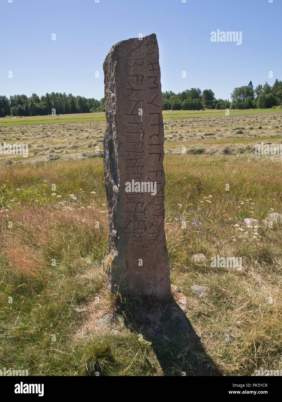 Runestone Järsberg vicino Kristinehamn in Värmland in Svezia risale all'età dei Vichinghi Foto Stock
