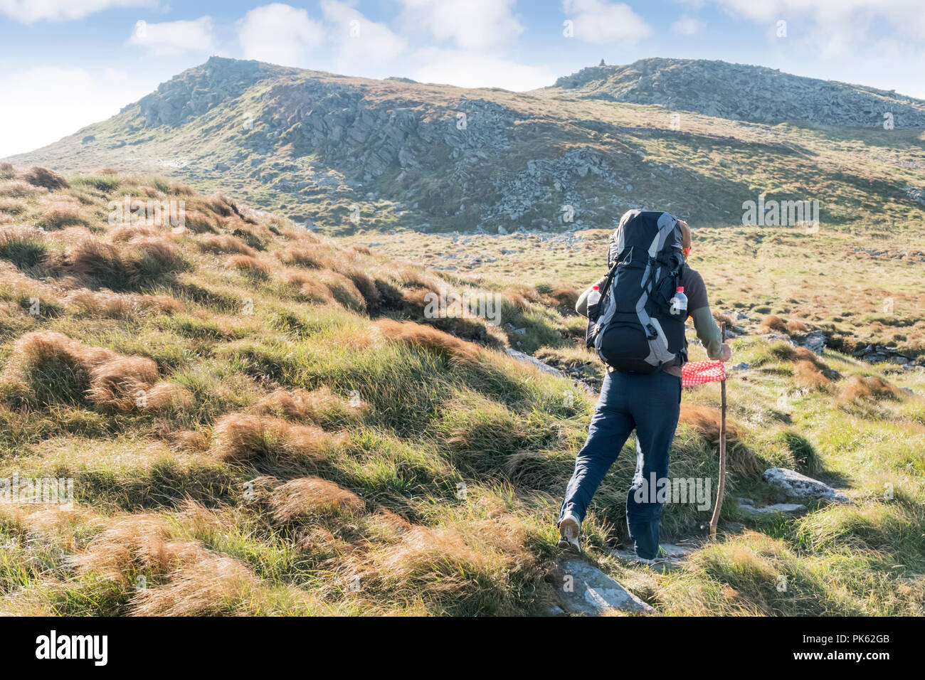 Turistico con un zaino grande va lungo il percorso verso la montagna, una vista posteriore Foto Stock