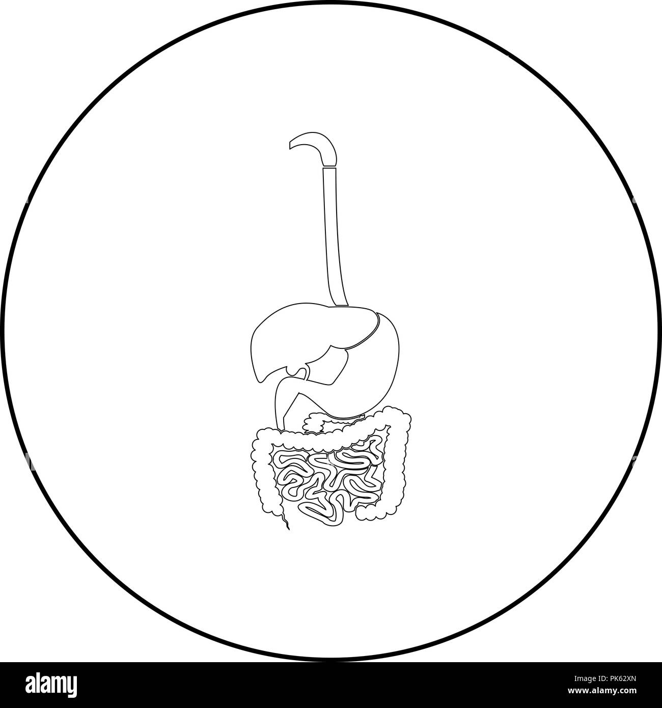 Sistema digestivo icona di colore nero in tondo tondo delineare vettore I Illustrazione Vettoriale