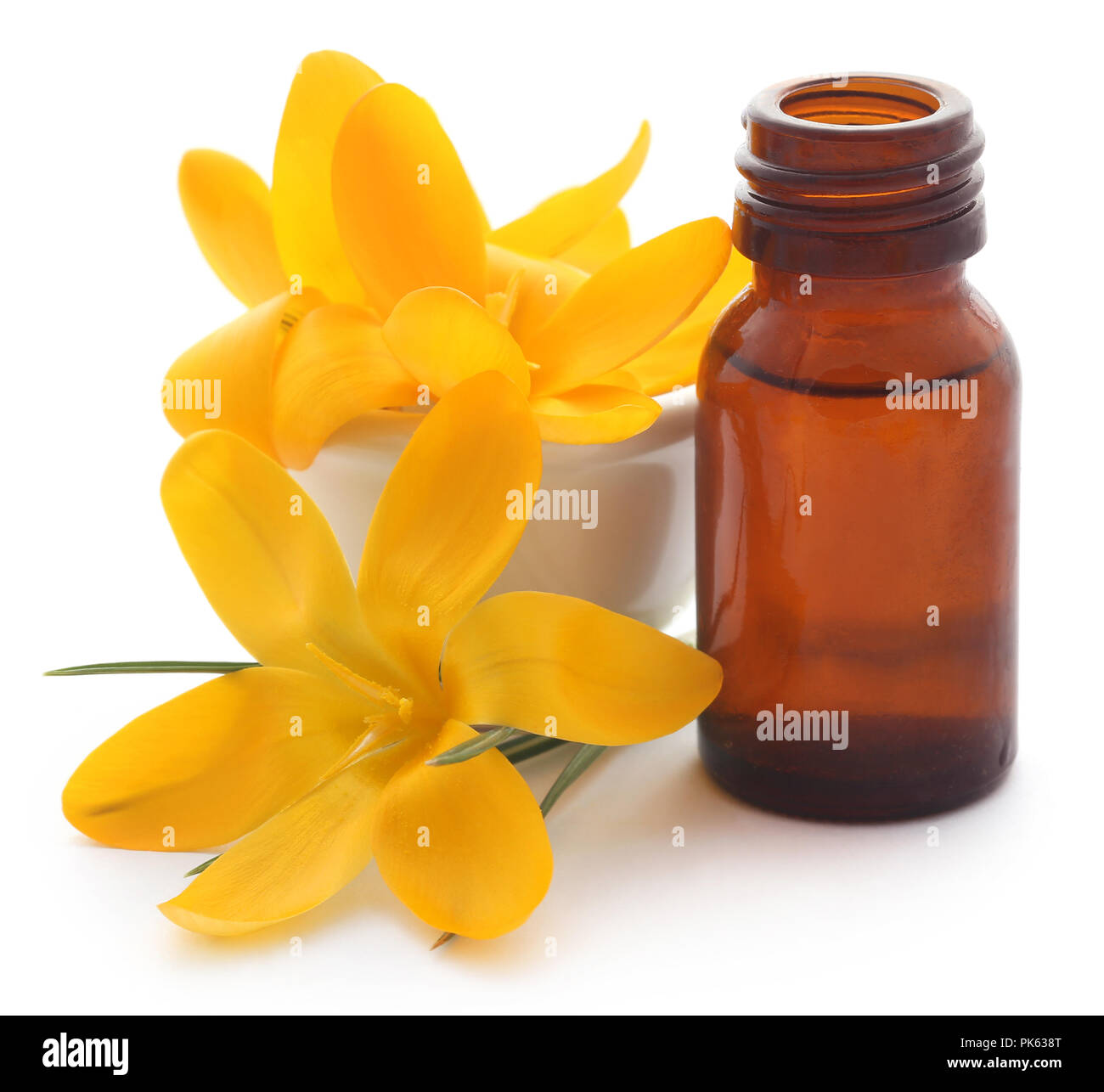 Giallo Crocus o zafferano con olio essenziale su sfondo bianco Foto Stock