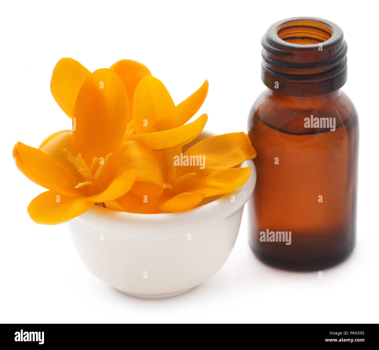 Giallo Crocus o zafferano con olio essenziale su sfondo bianco Foto Stock