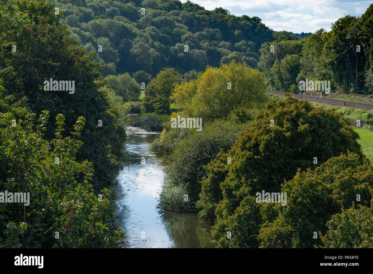 Una vista della Valle di Avon dal viadotto Avoncliff vicino a Bradford on Avon, Wiltshire, Regno Unito Foto Stock