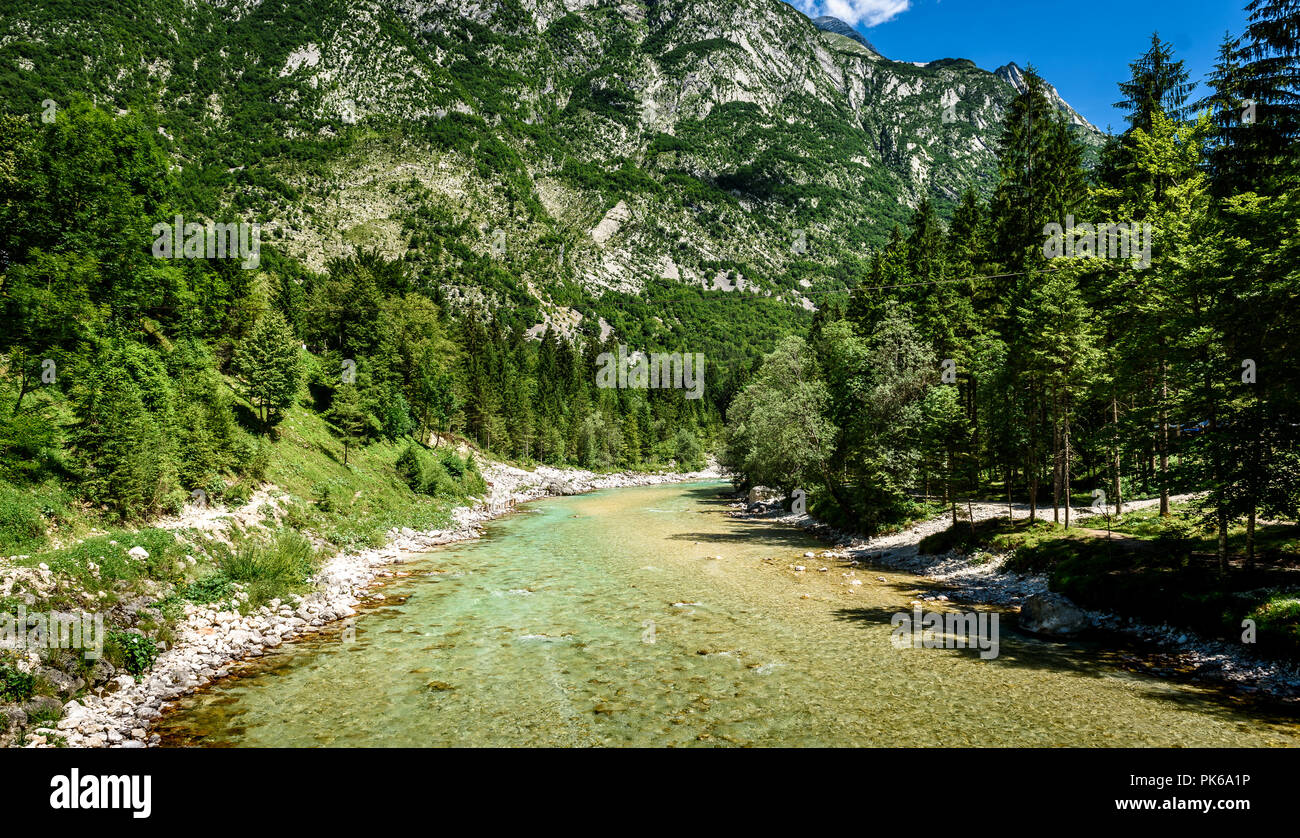 Idilliaco fiume di montagna nella valle Lepena, Soca - Slovenia Bovec. Bella vivace turchese flusso di fiume rapide del fiume Lepenca. Bellissimo paesaggio sc Foto Stock