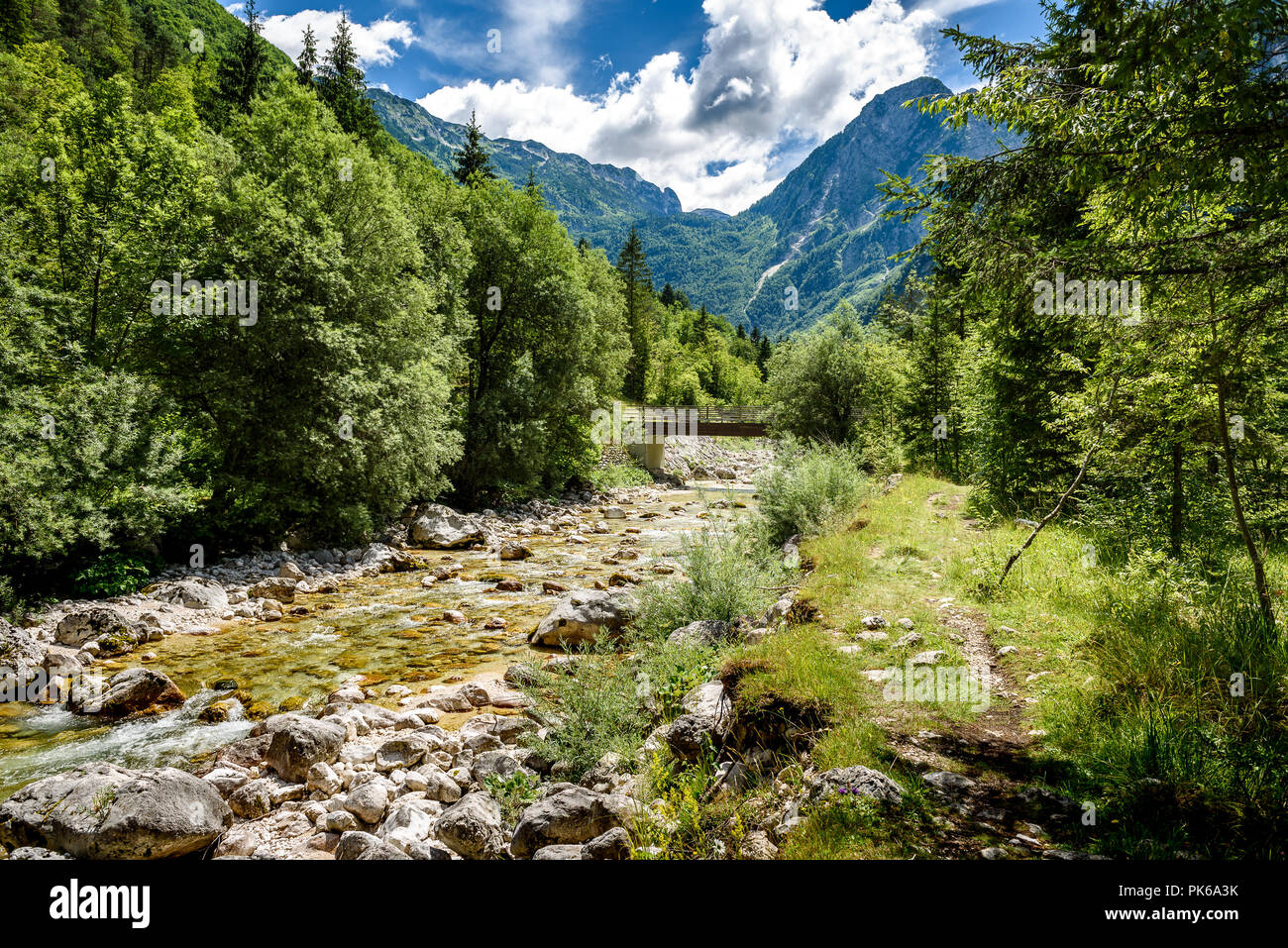 Idilliaco fiume di montagna nella valle Lepena, Soca - Slovenia Bovec. Ponte sul fiume di Lepenca quando la voce verso acqua Sunik Grove. Bella landsca Foto Stock